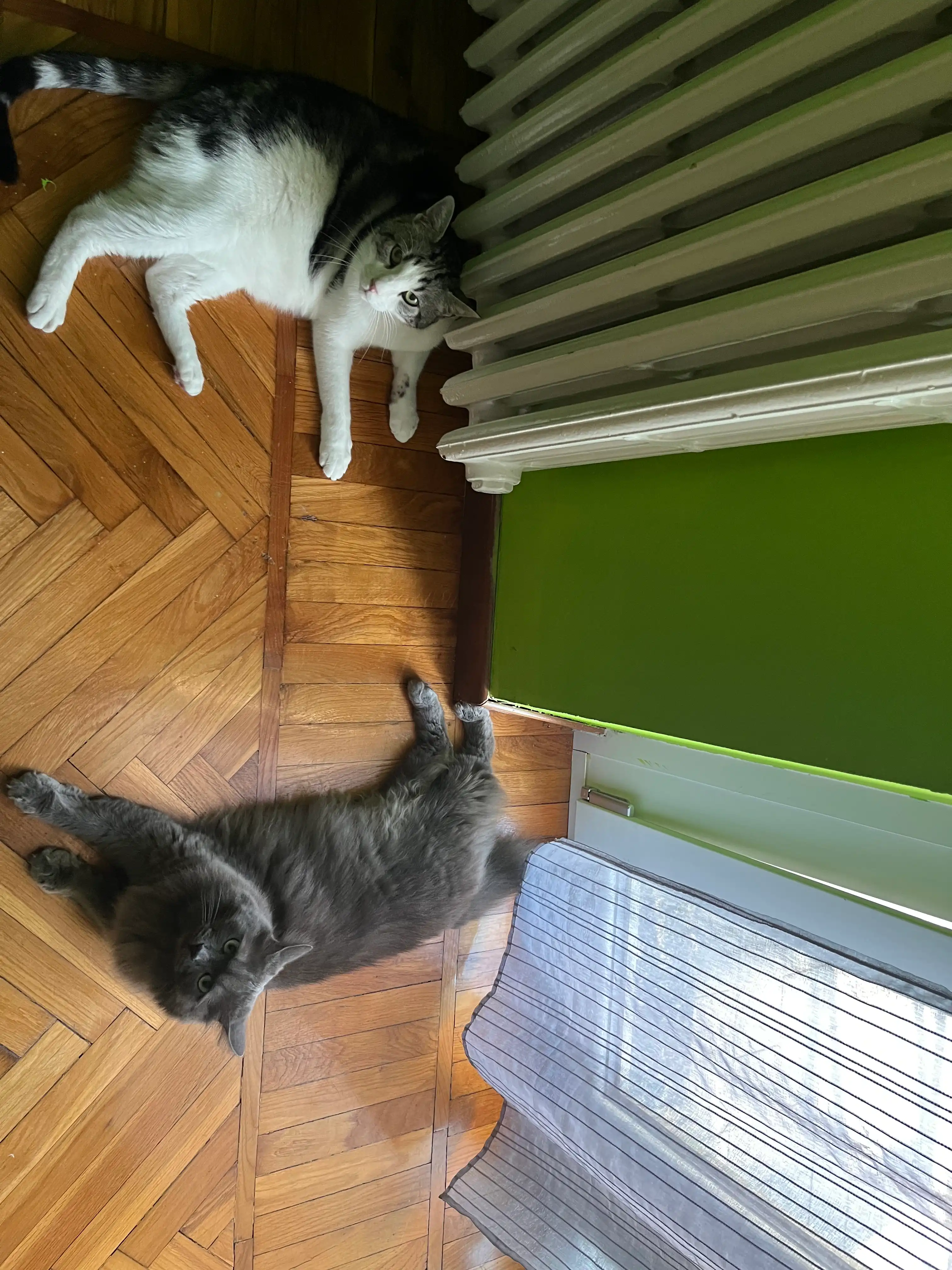 image-14