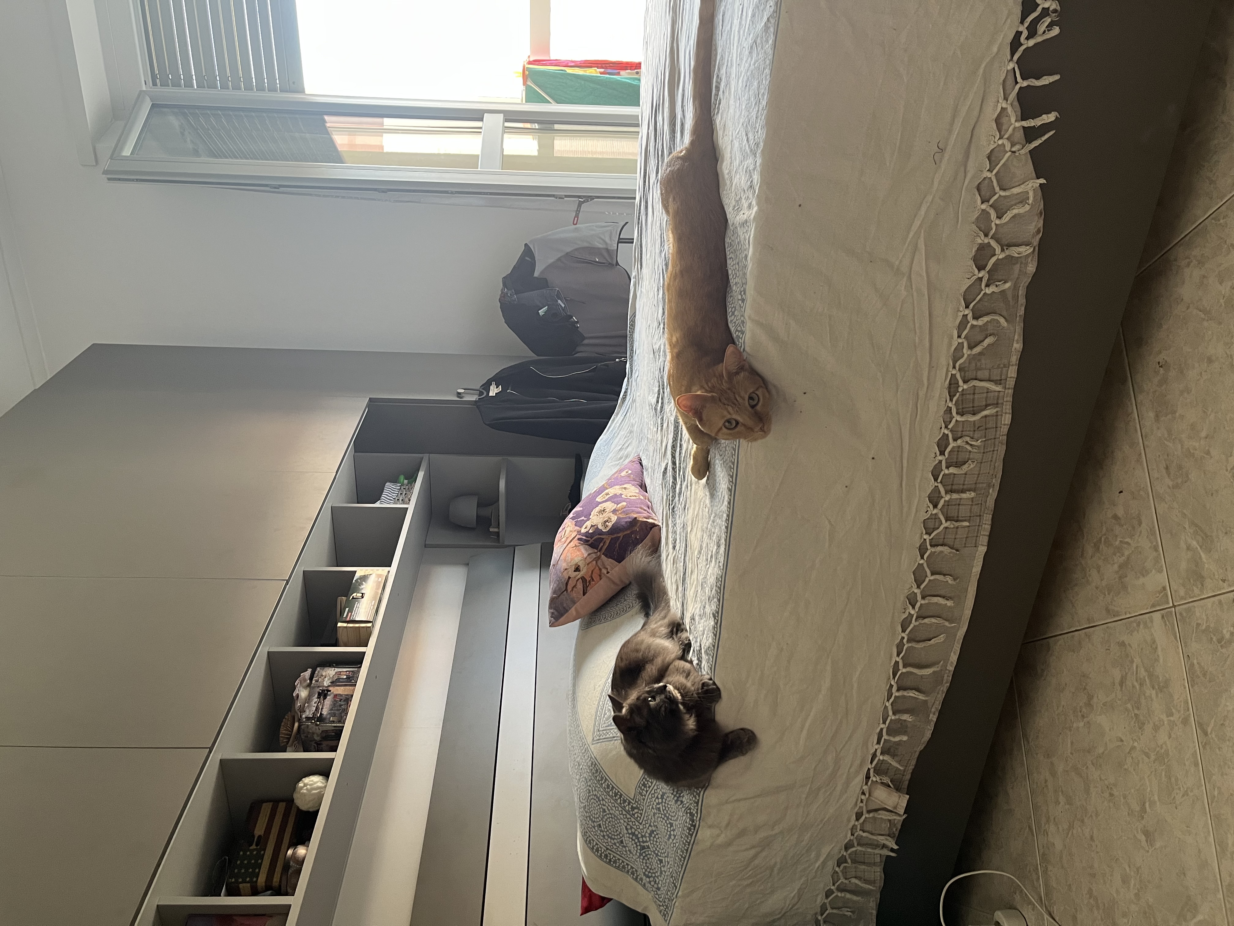 image-18