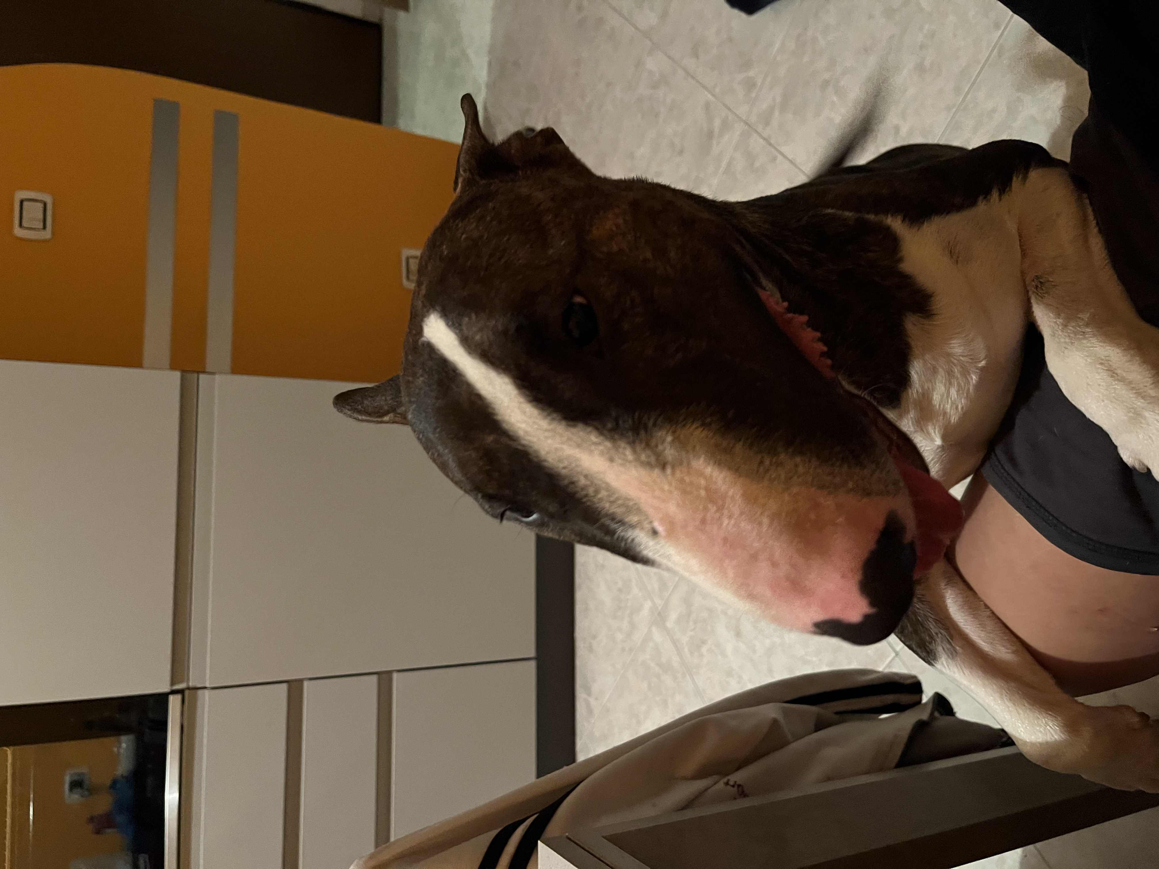 image-7