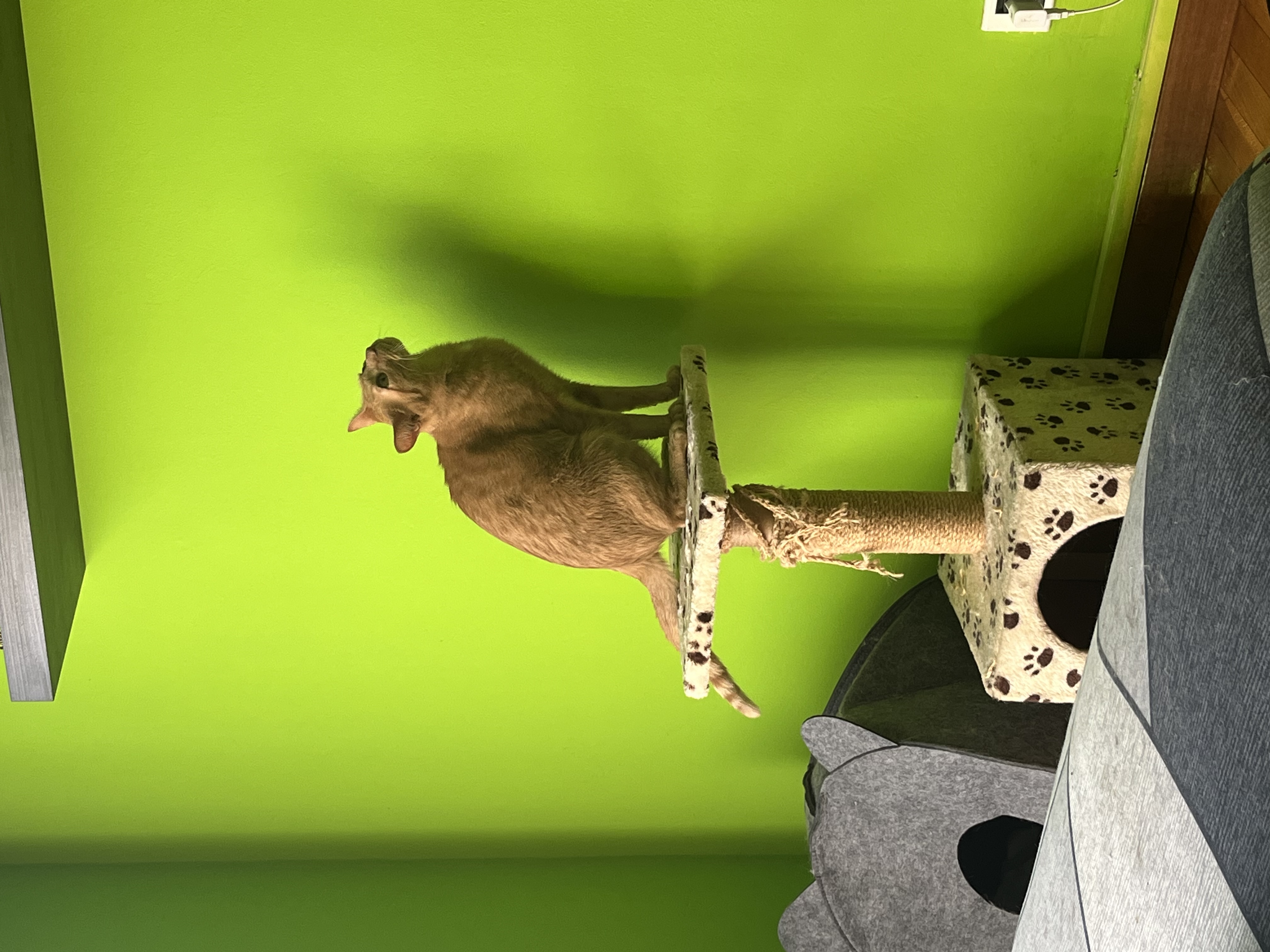 image-17