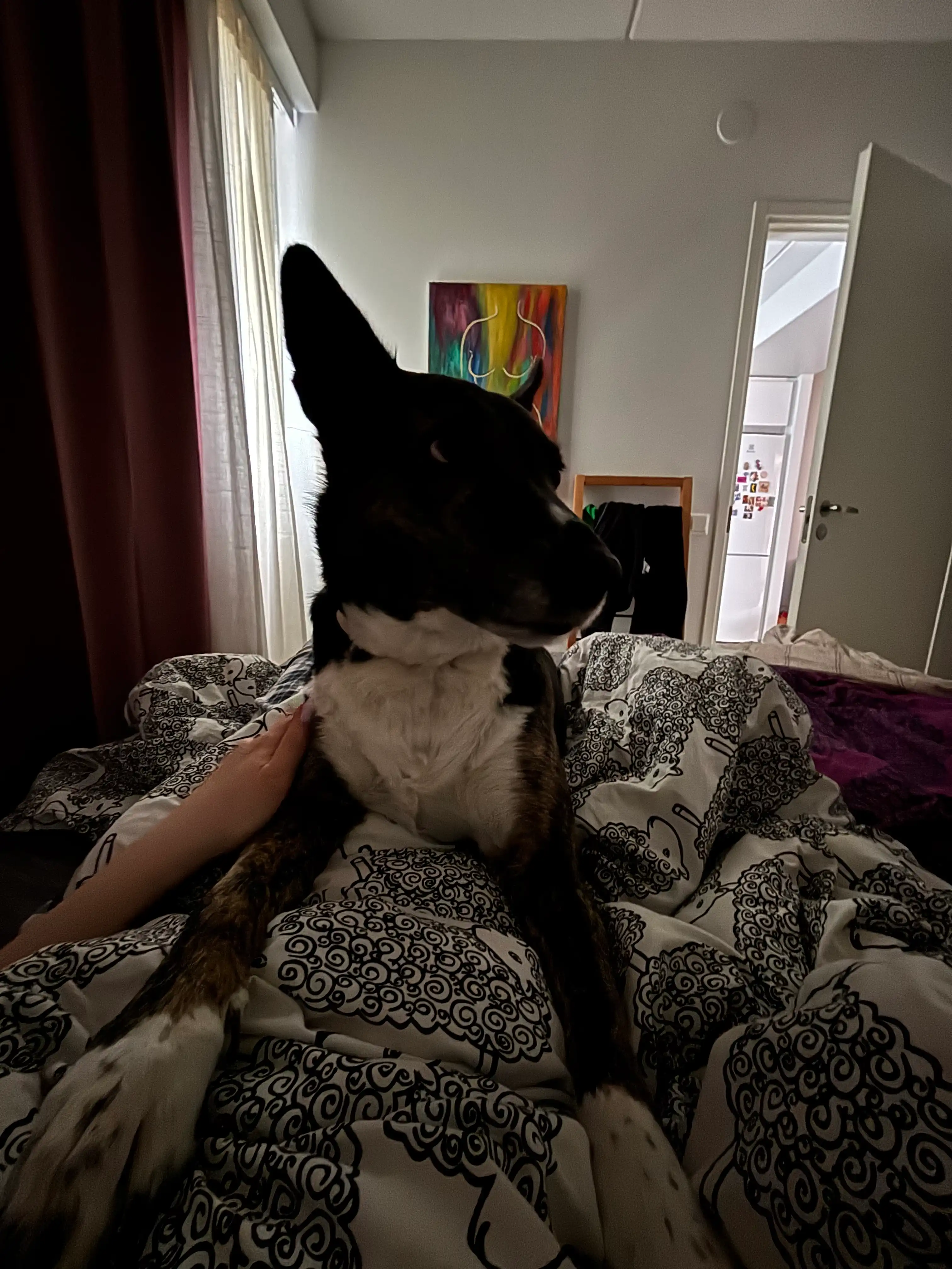 image-15