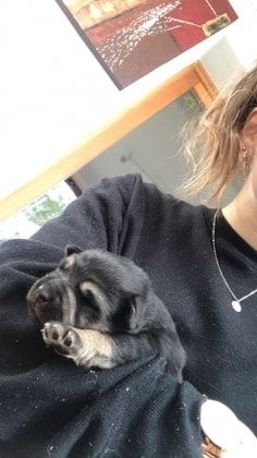 image-5