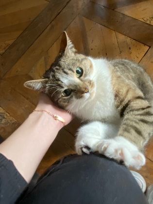 image-9