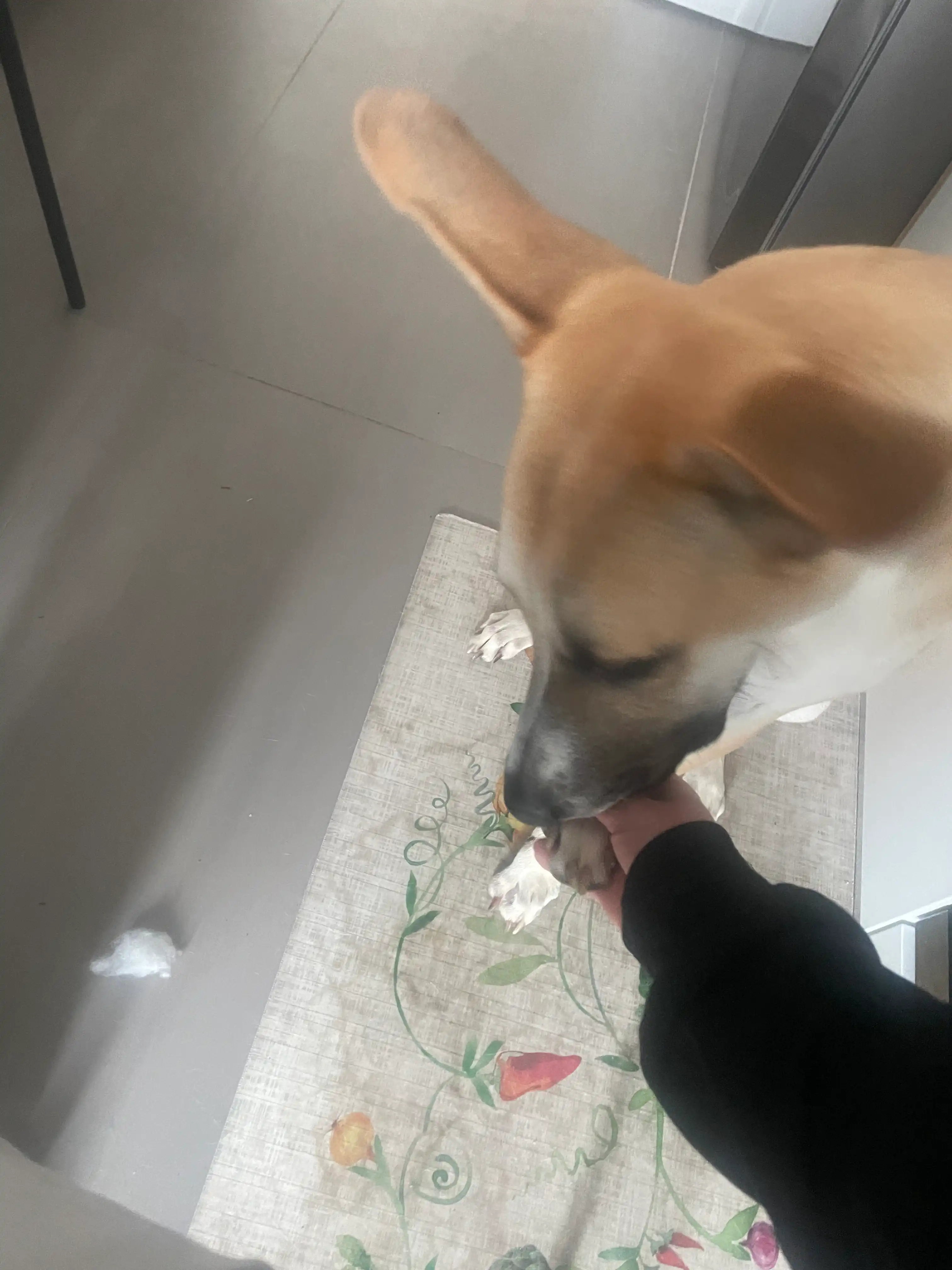 image-7