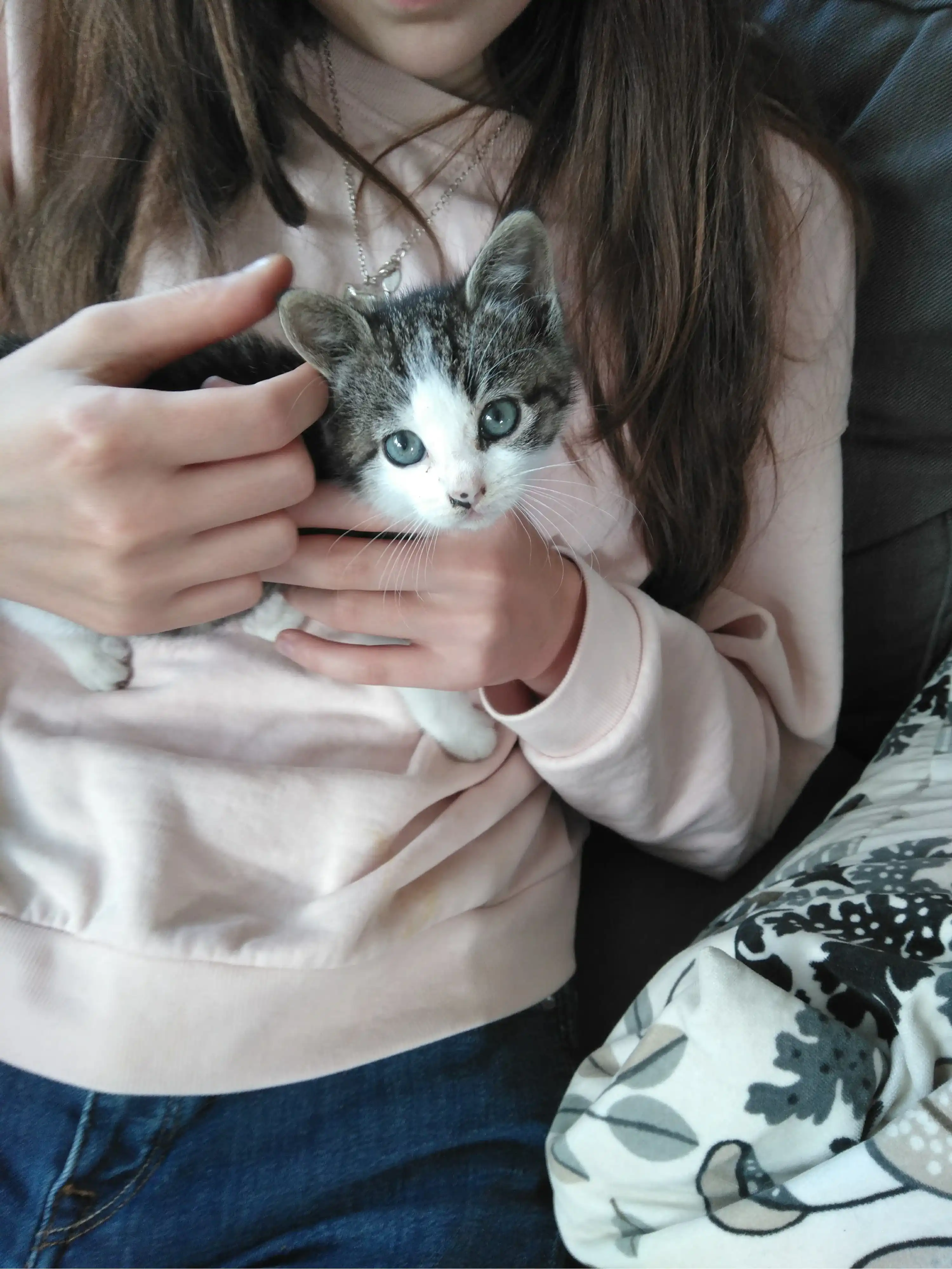 image-7