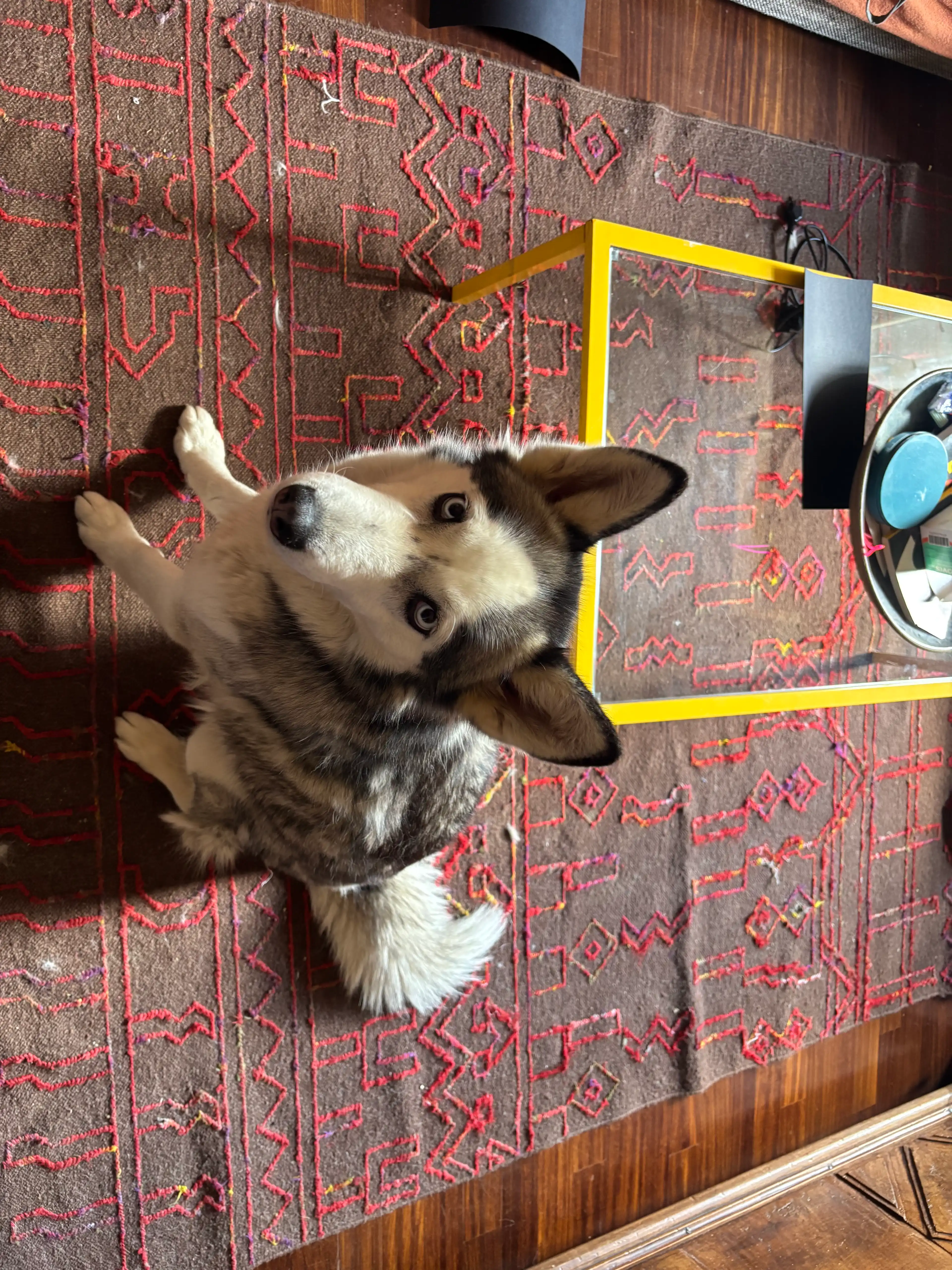 image-7
