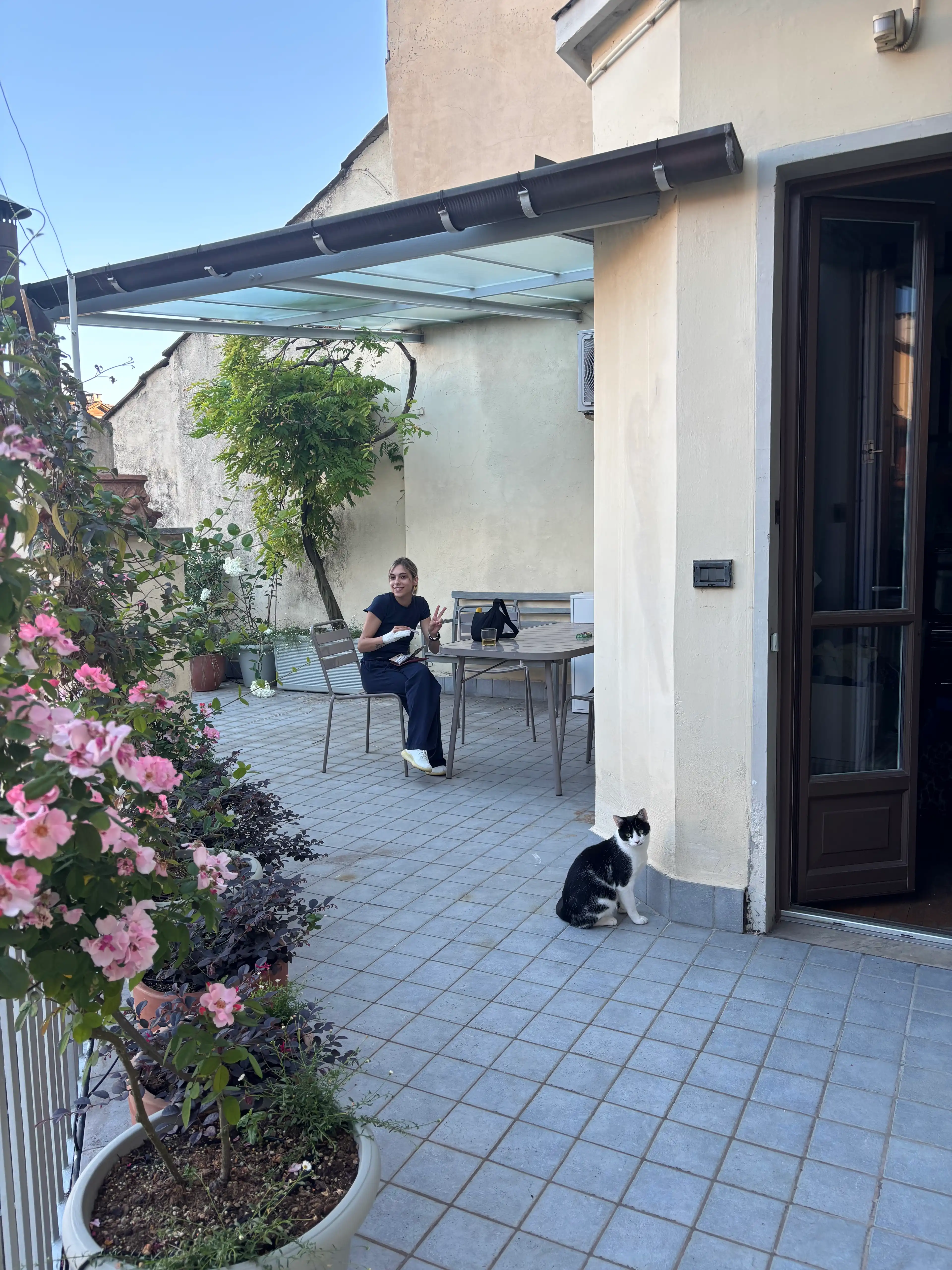 image-19