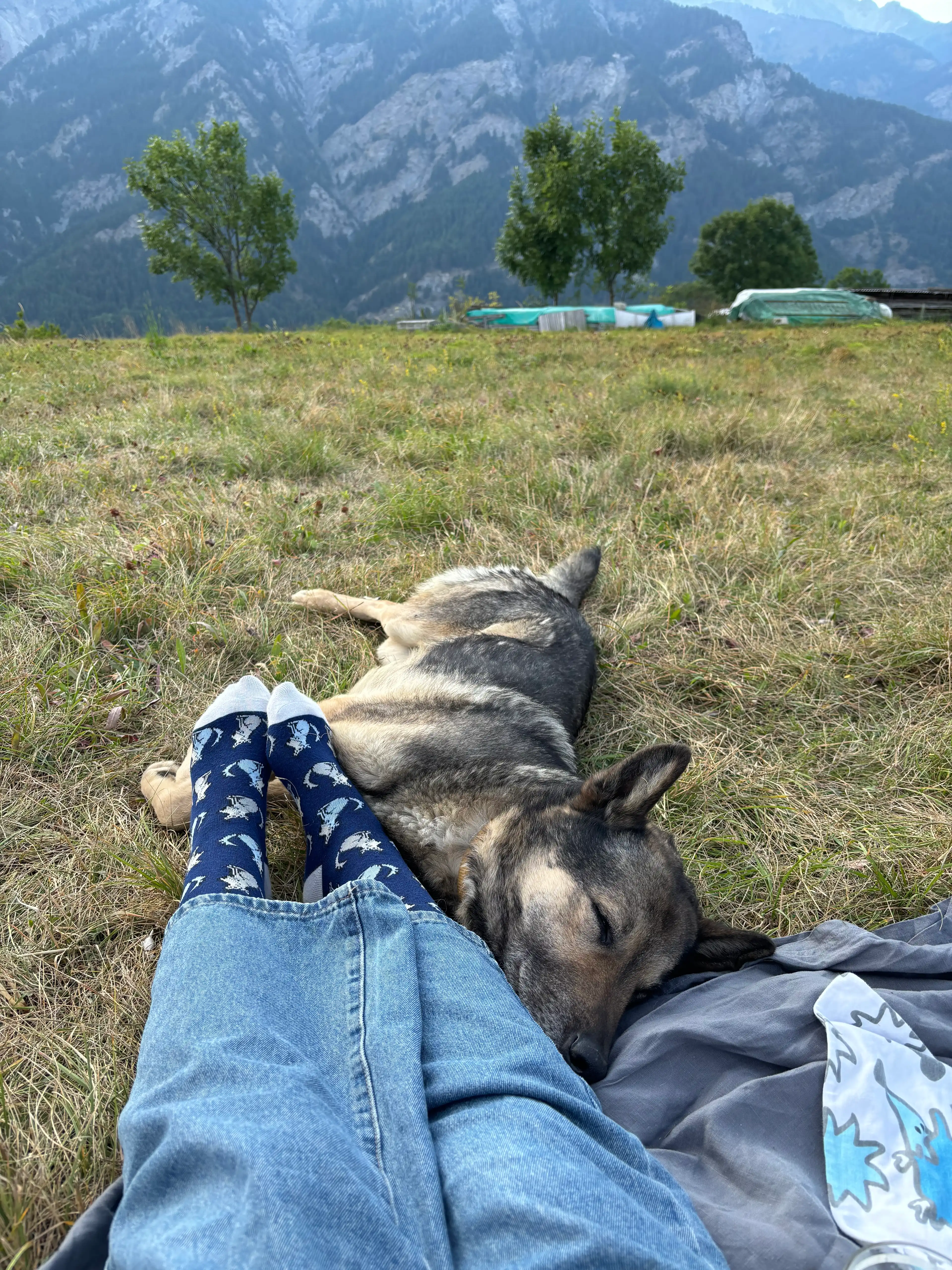 image-5