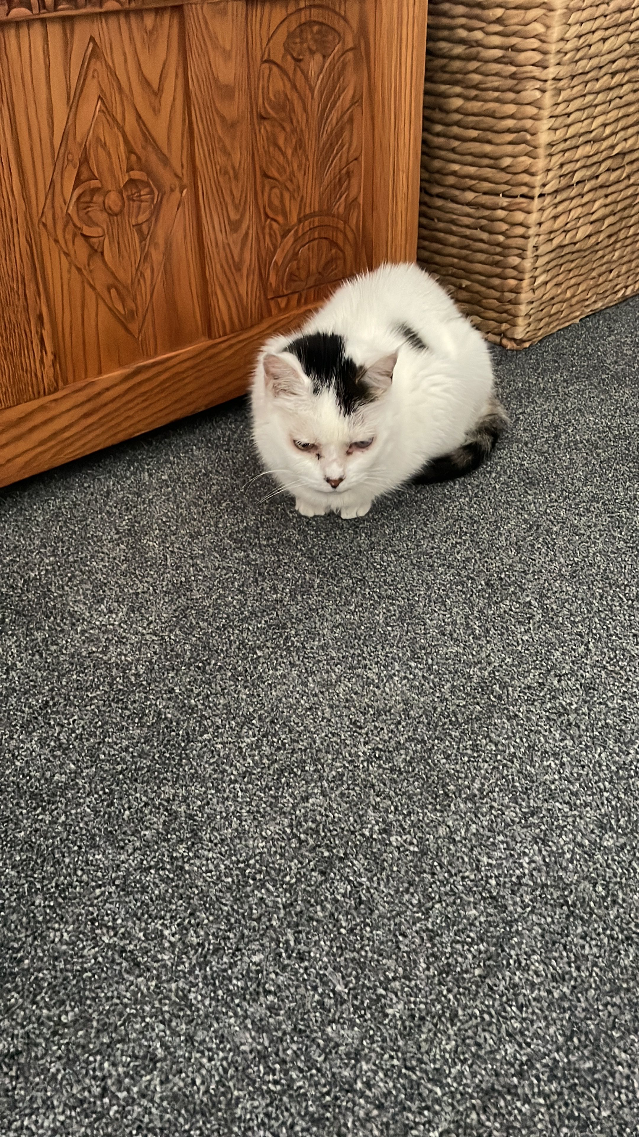 image-14