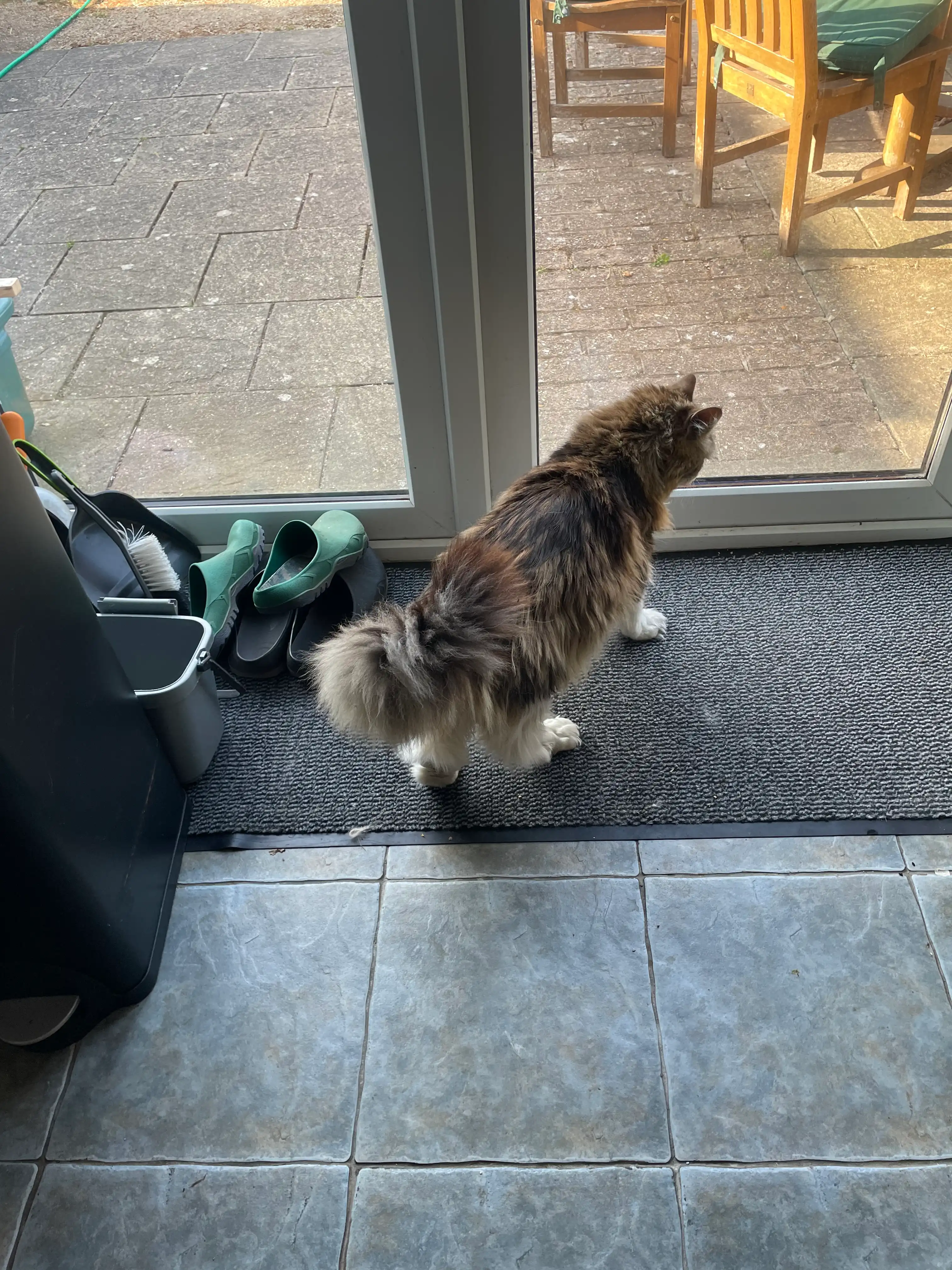 image-13