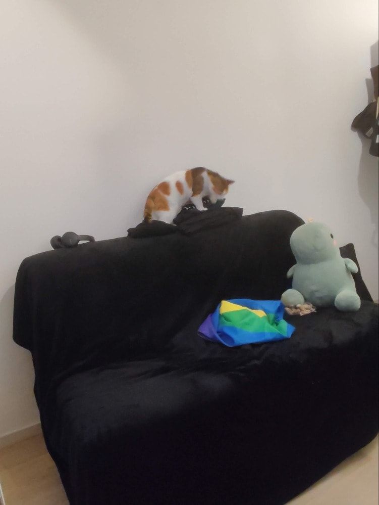 image-8