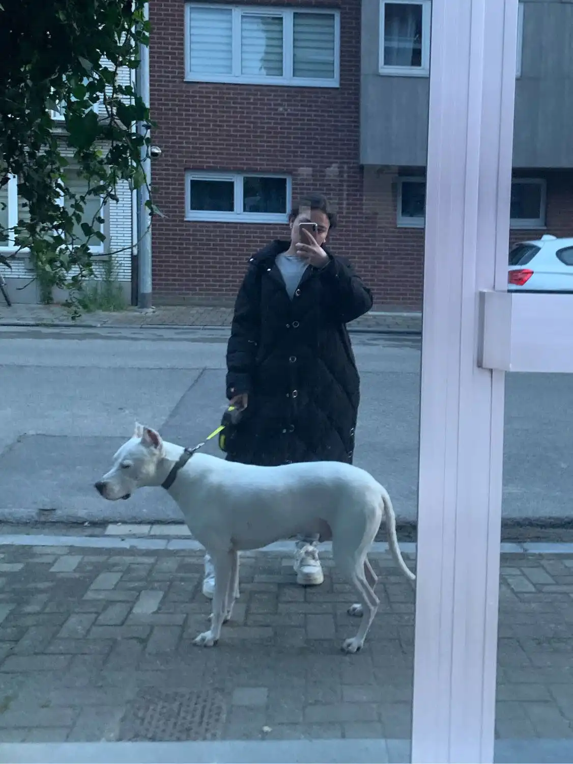image-22