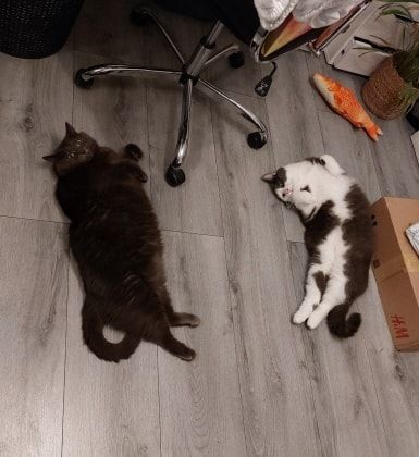 image-6