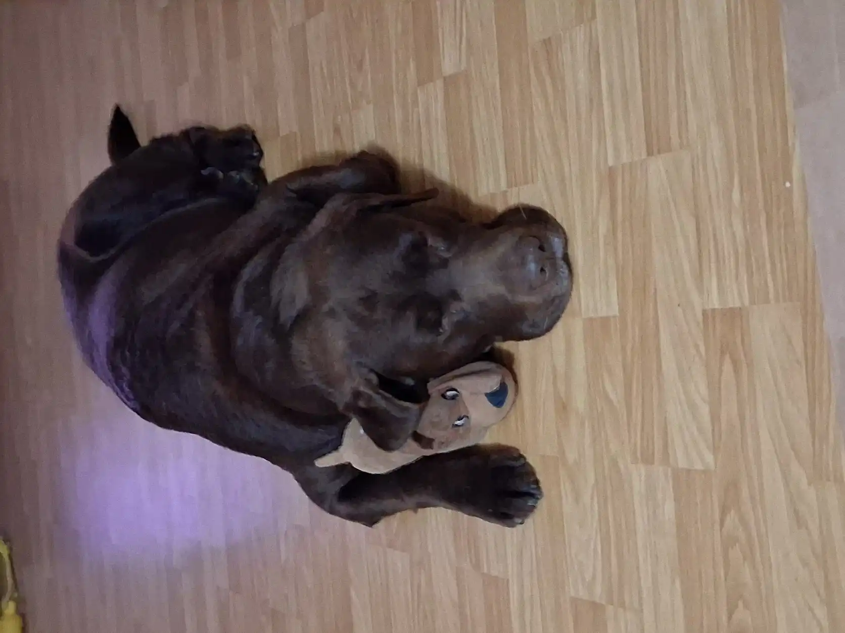 image-6