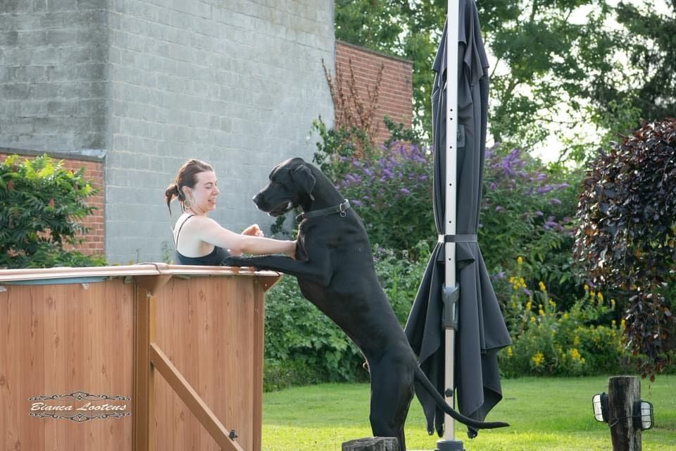 image-31