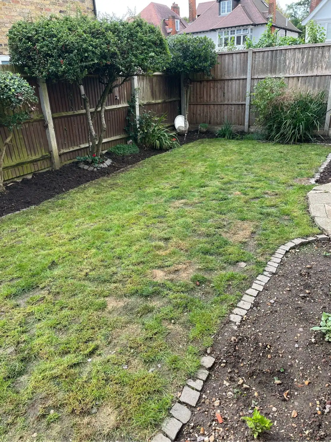 image-15