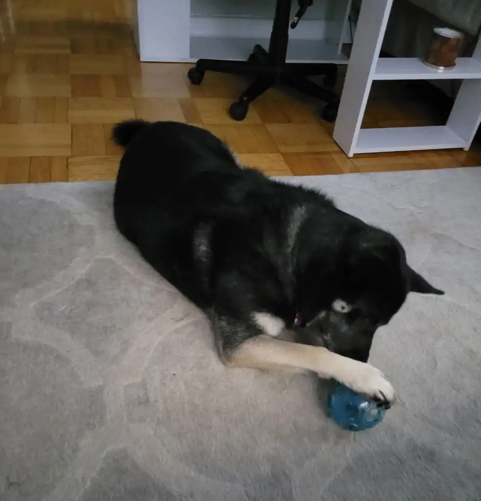 image-13