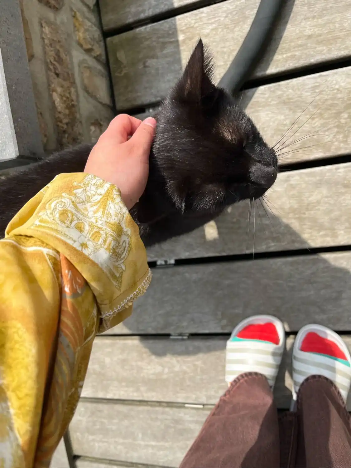 image-9