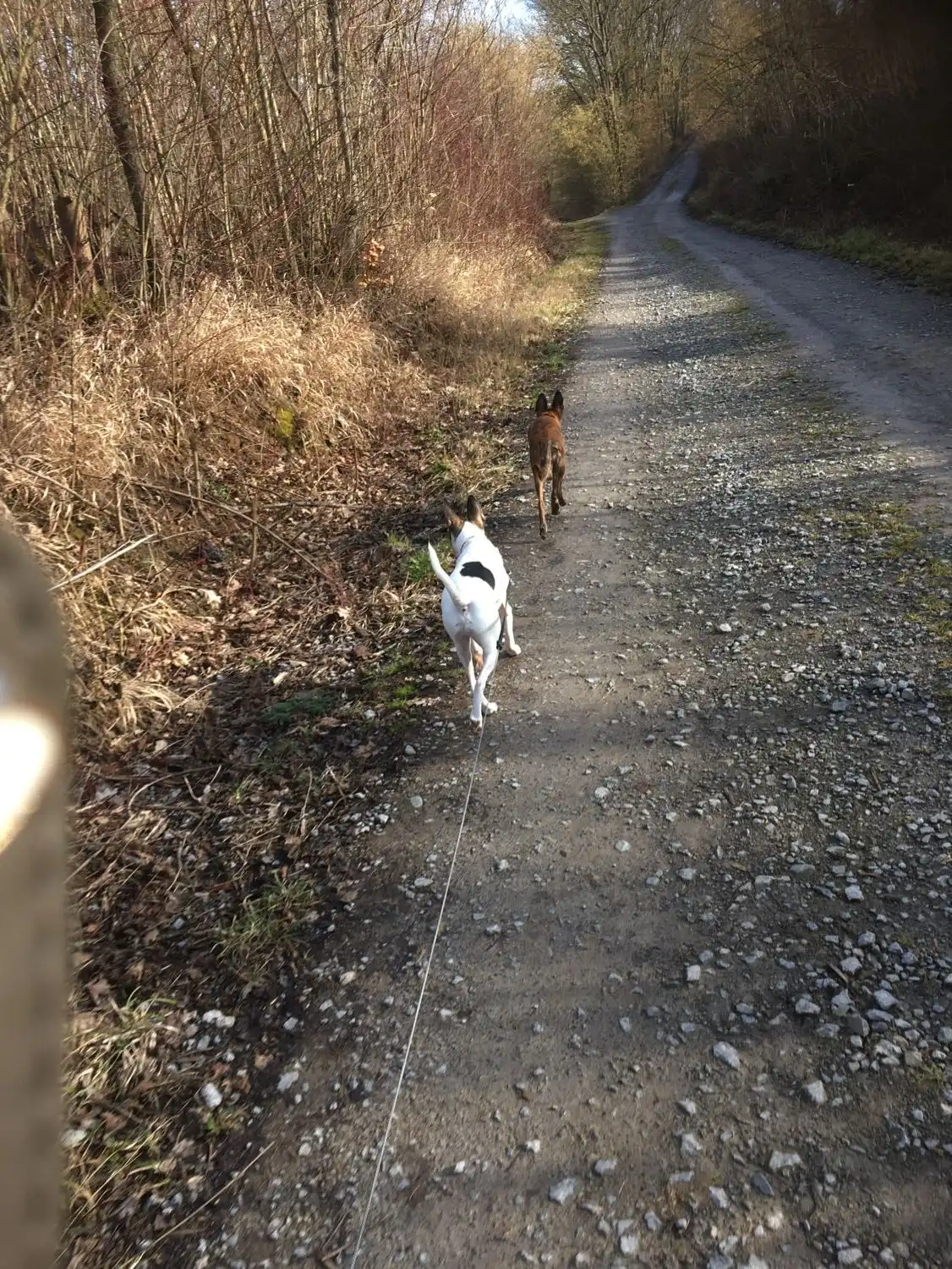 image-9