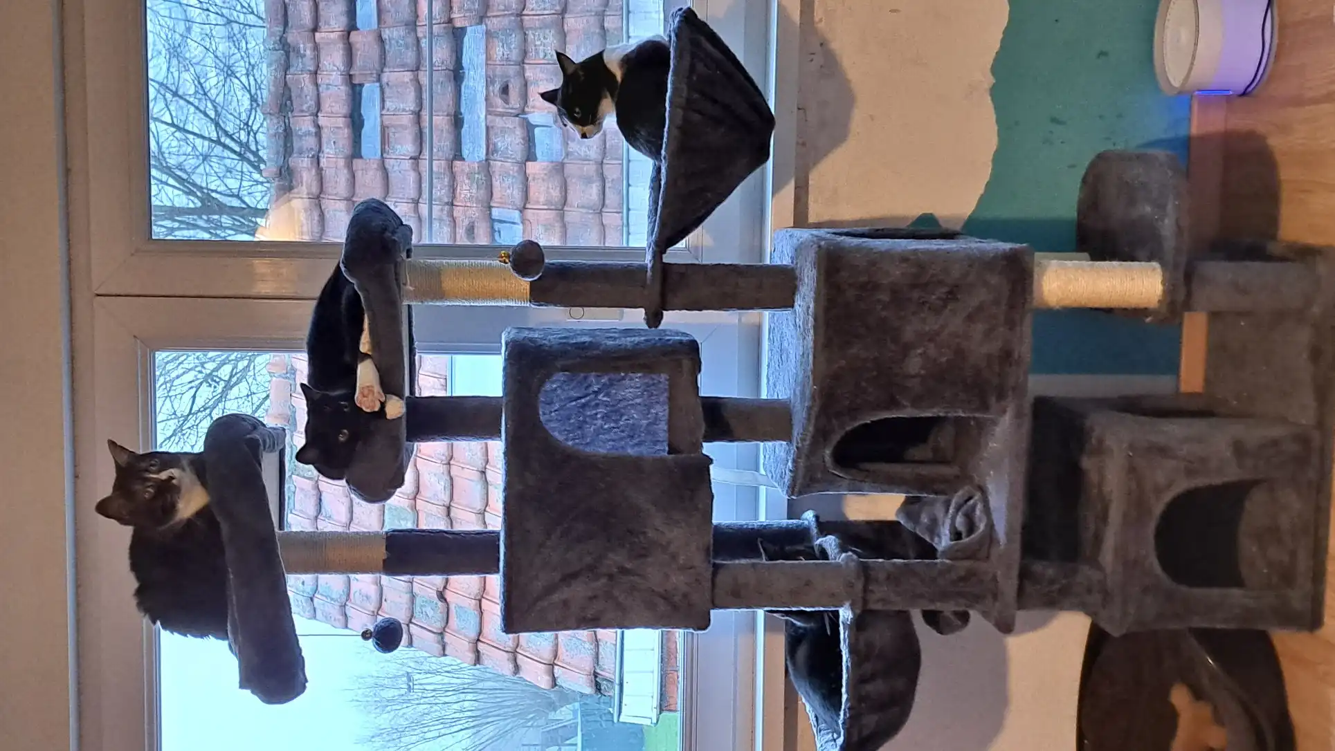 image-10