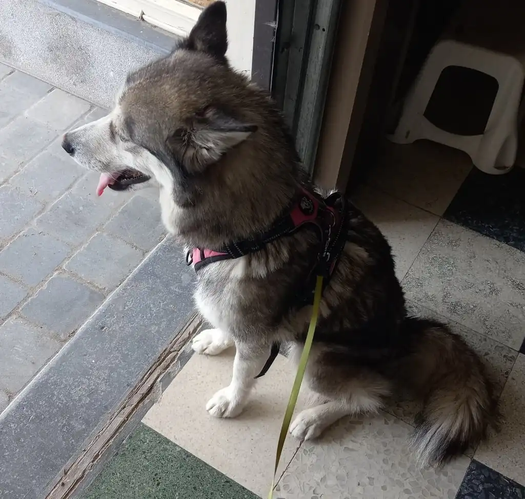 image-5