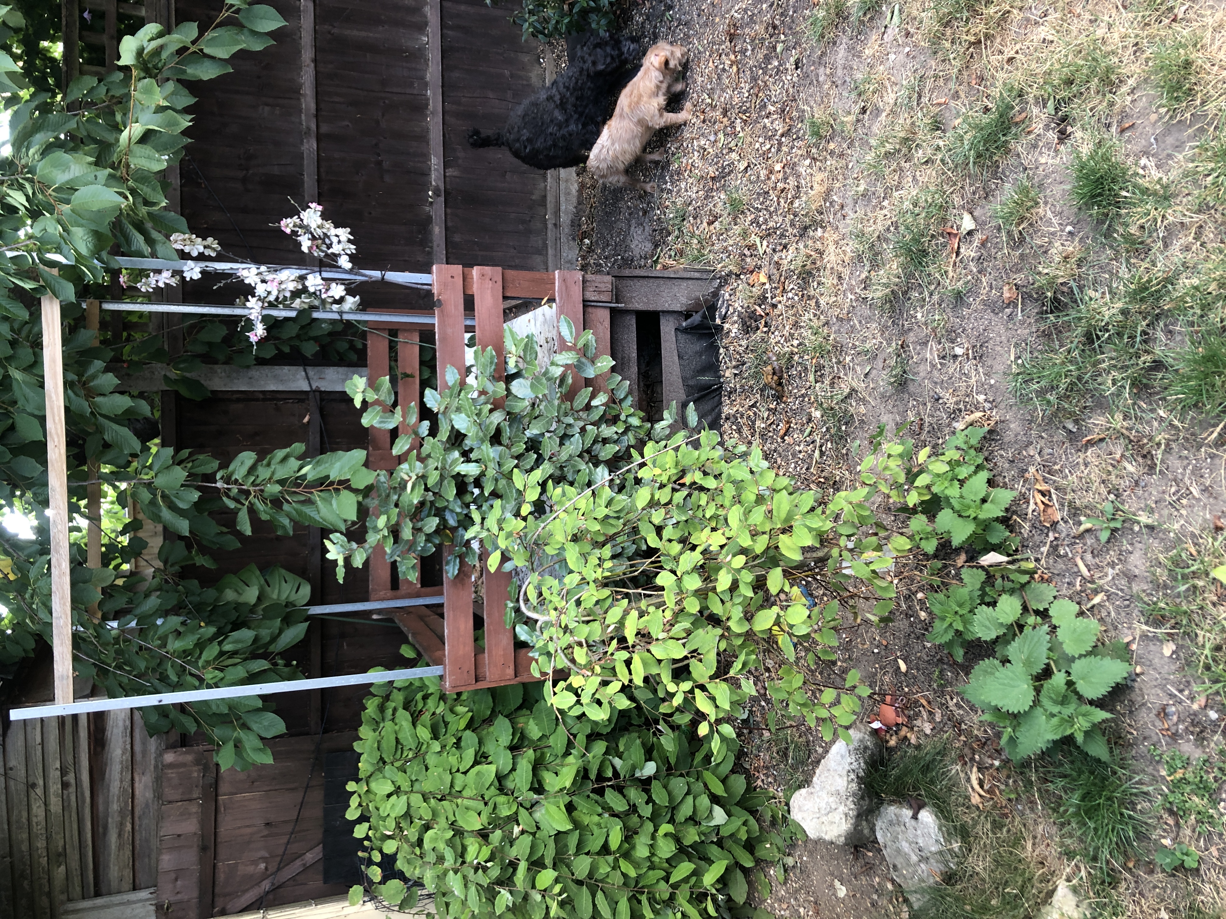 image-12