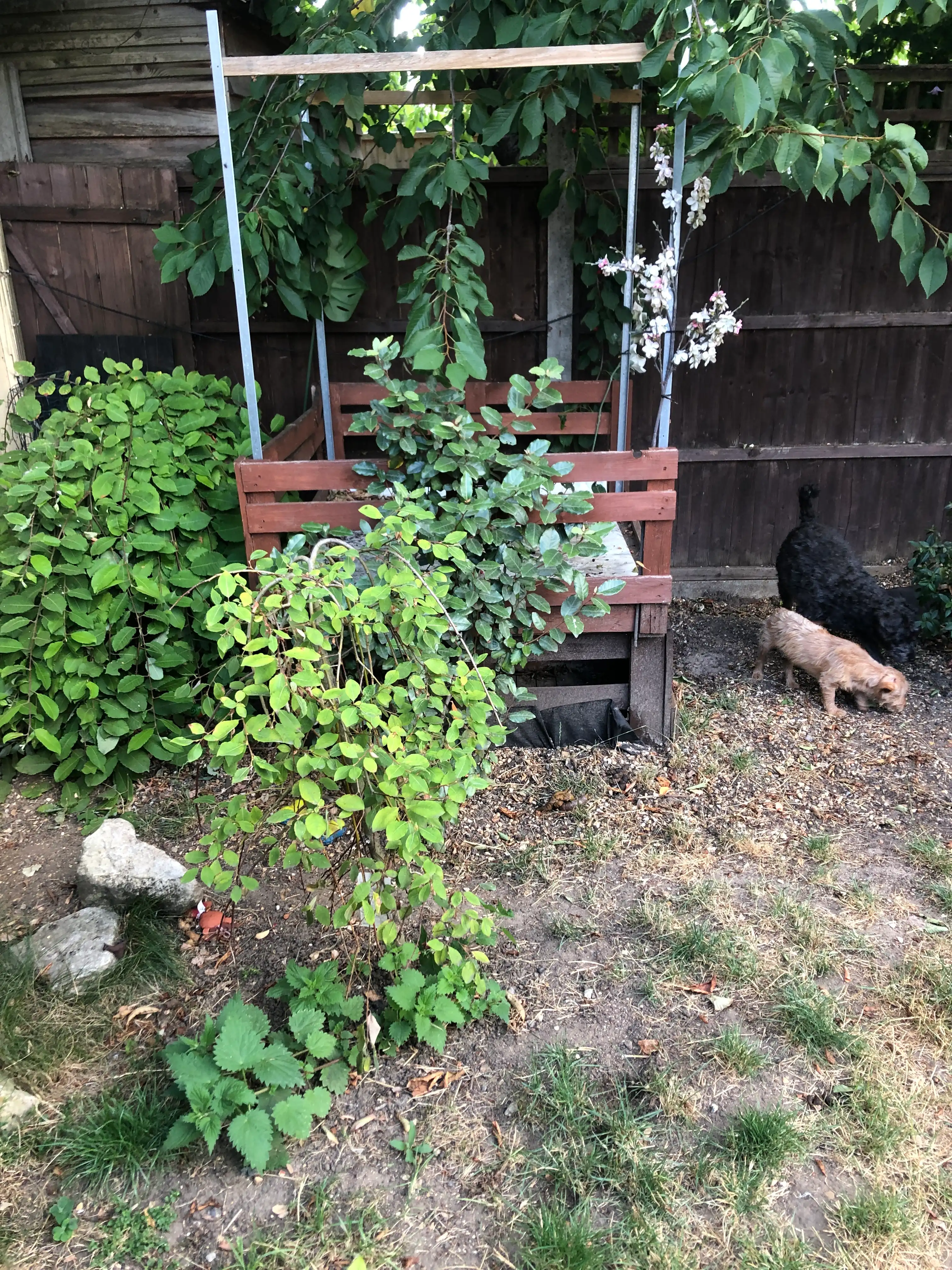 image-12