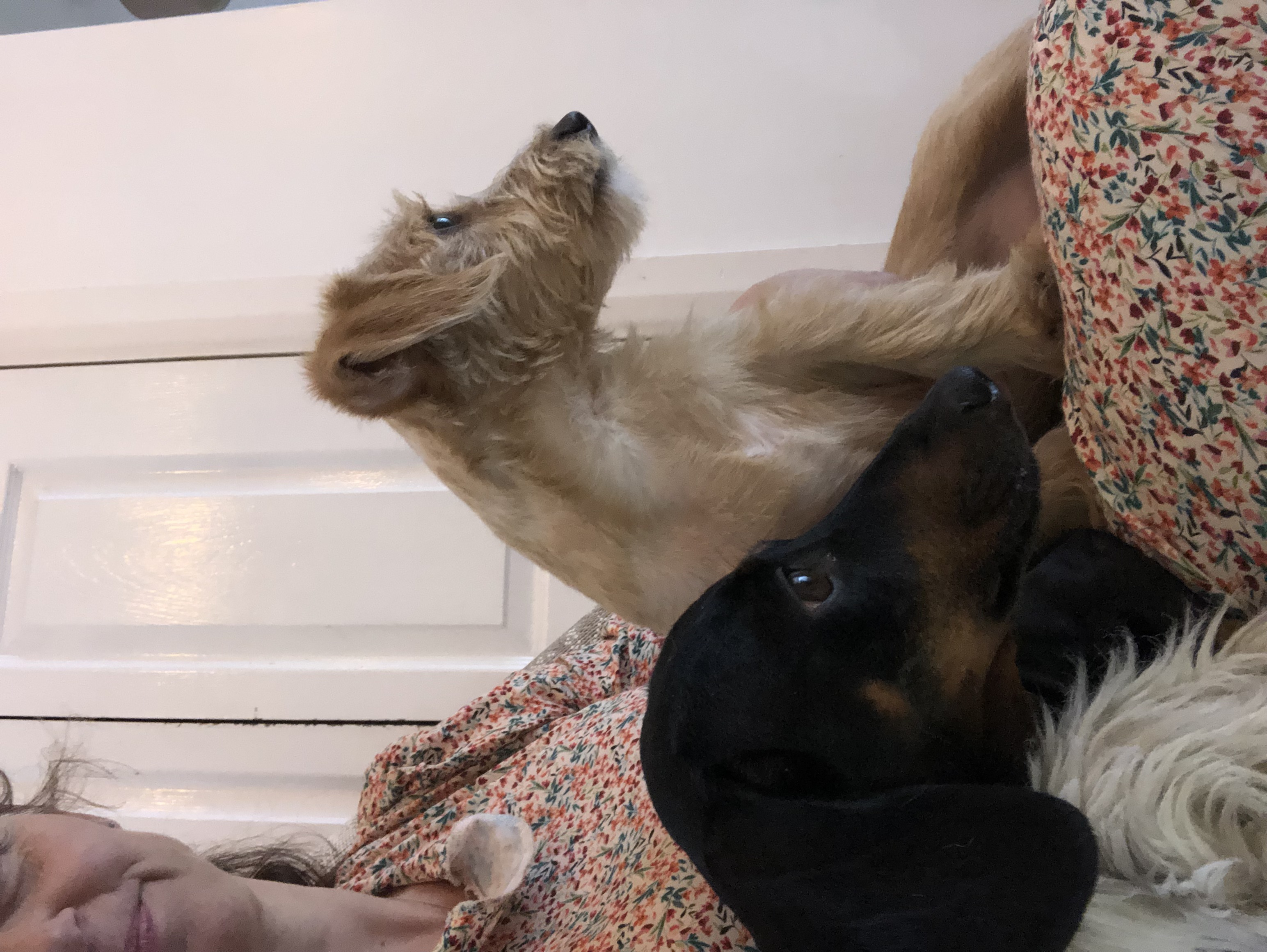 image-6