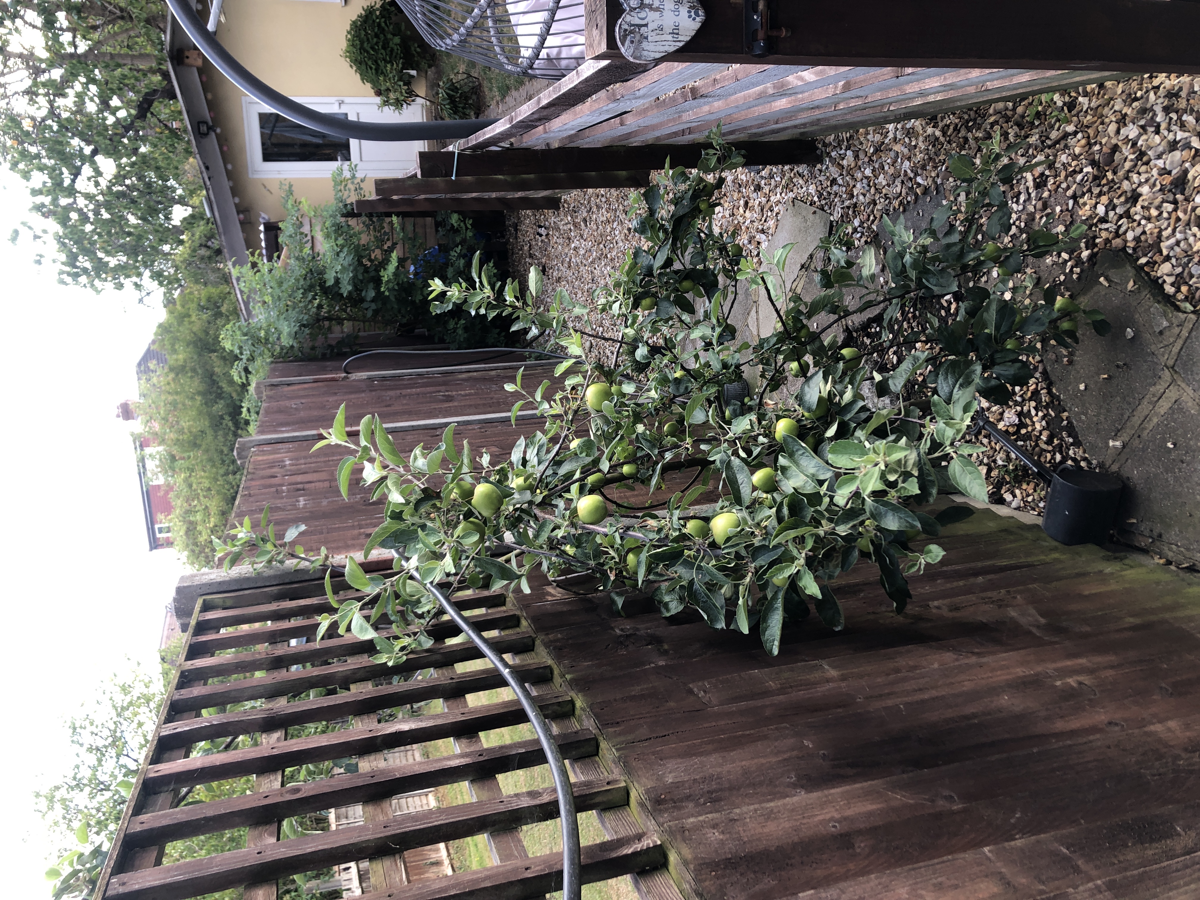 image-9
