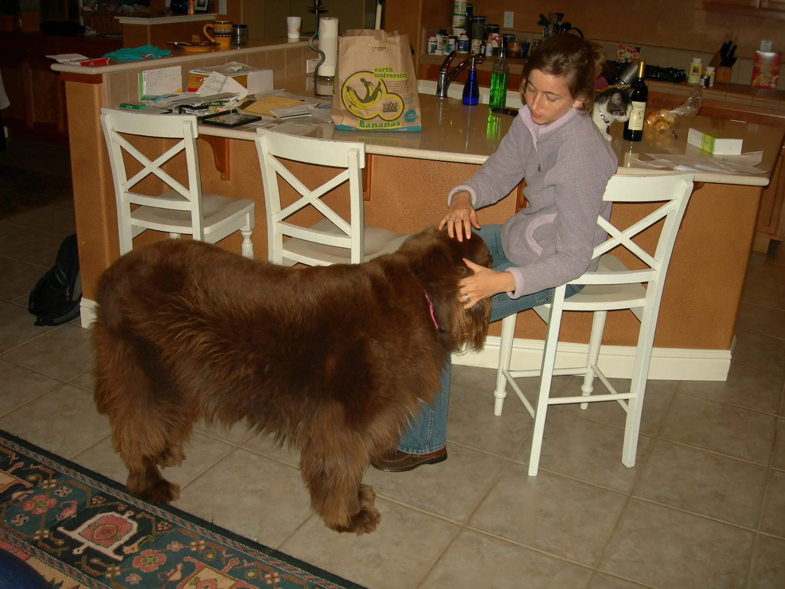 image-4