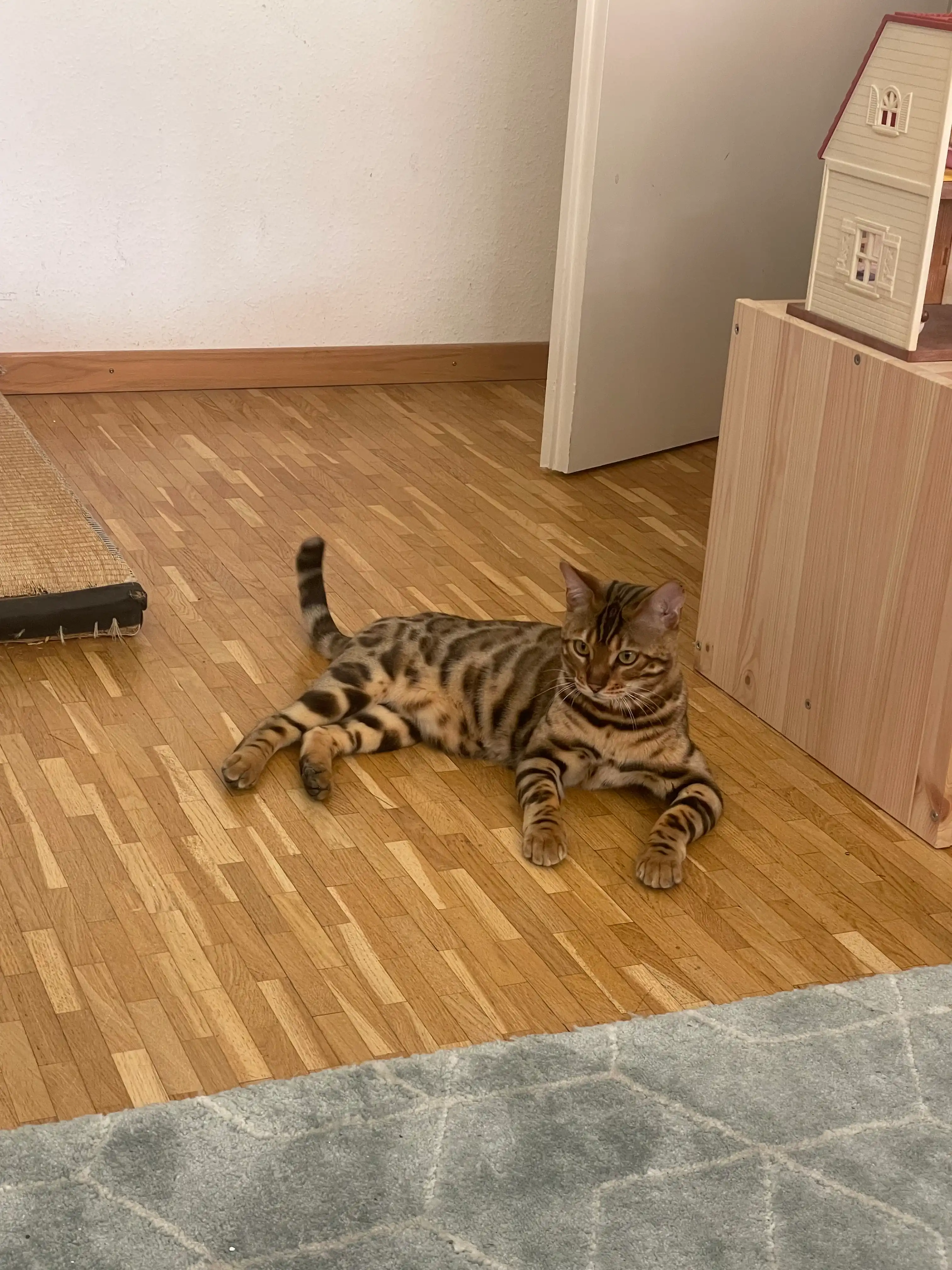 image-5