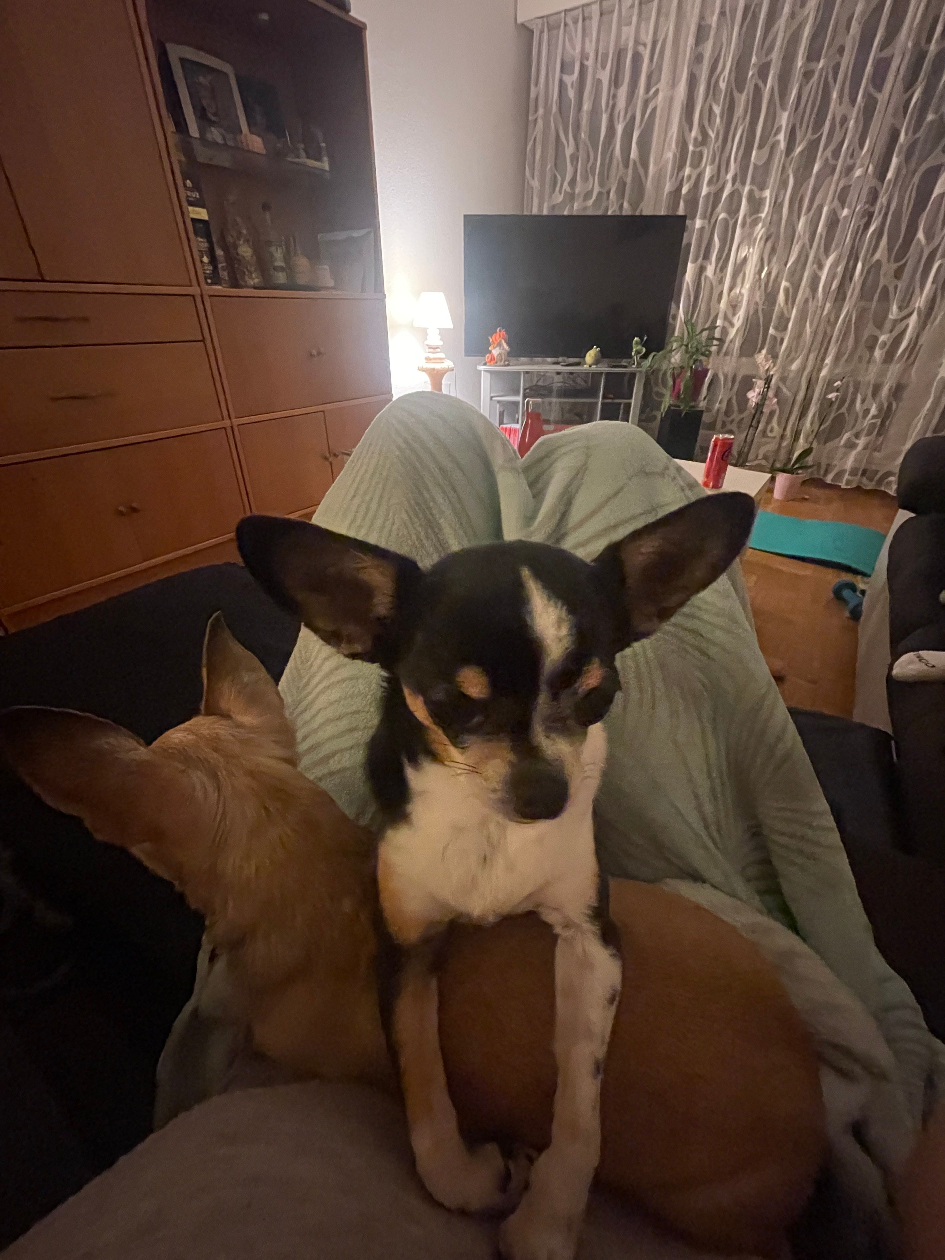 image-9