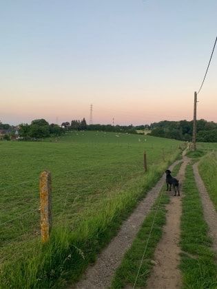 image-9