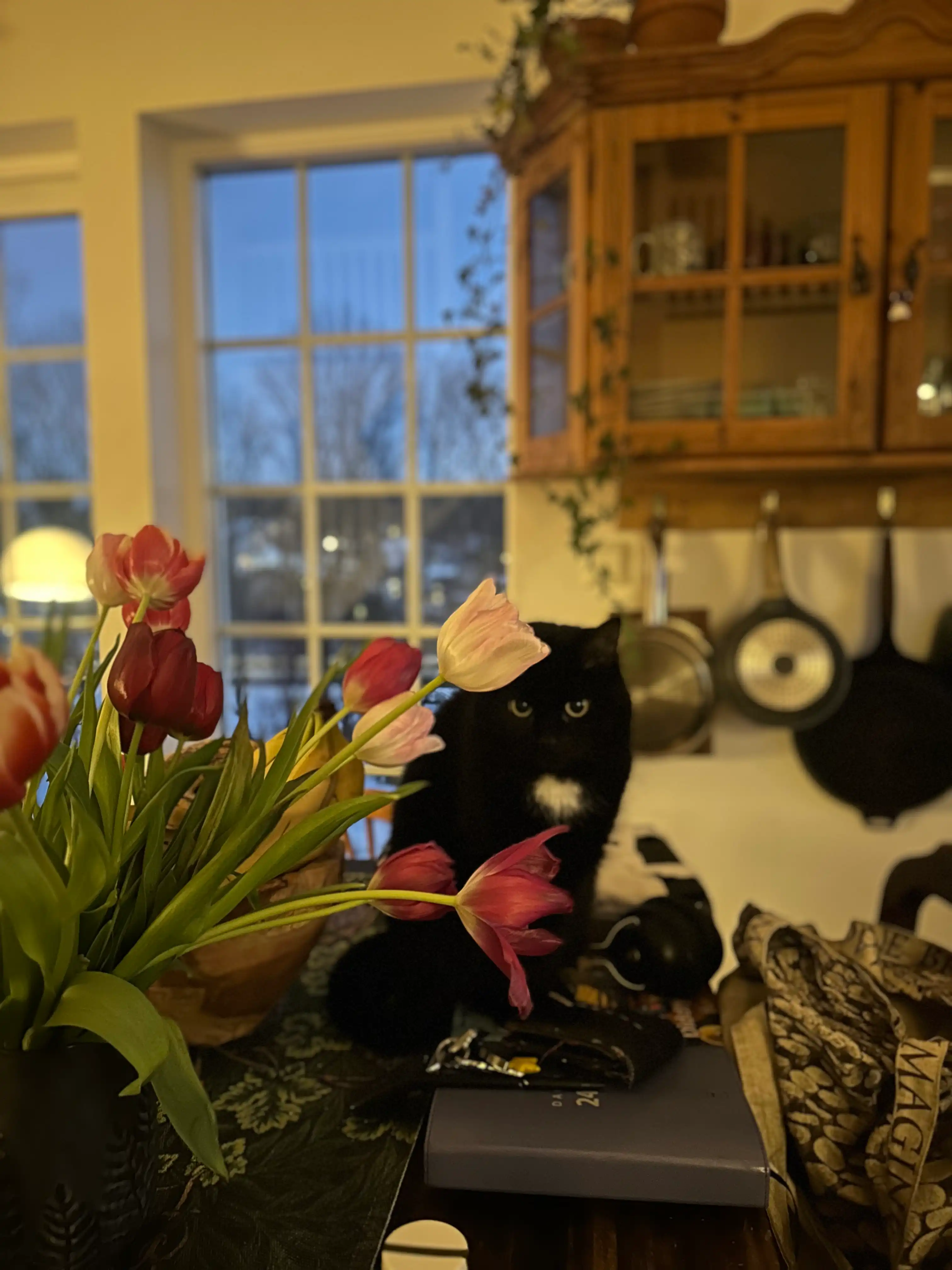 image-15
