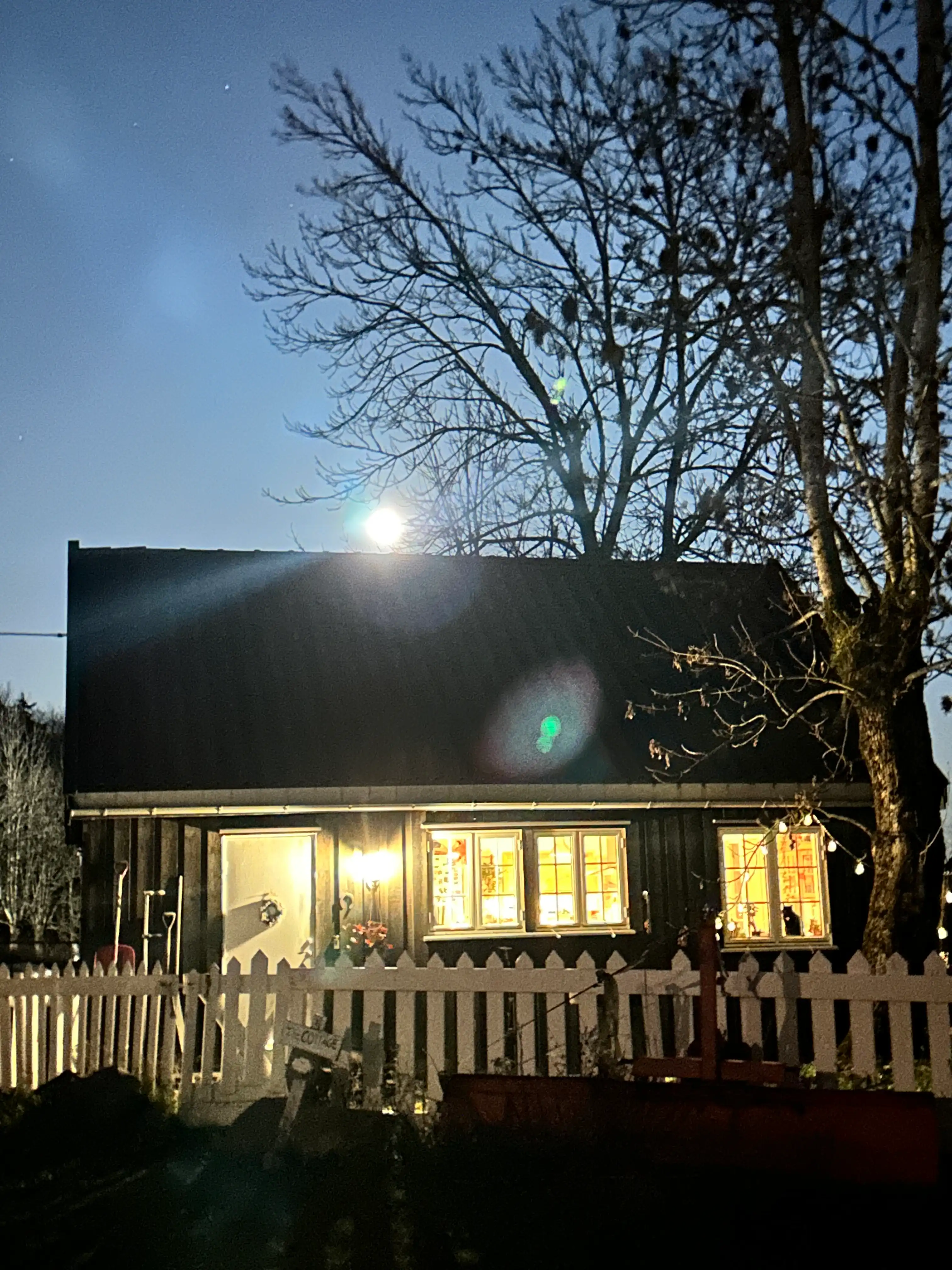 image-14