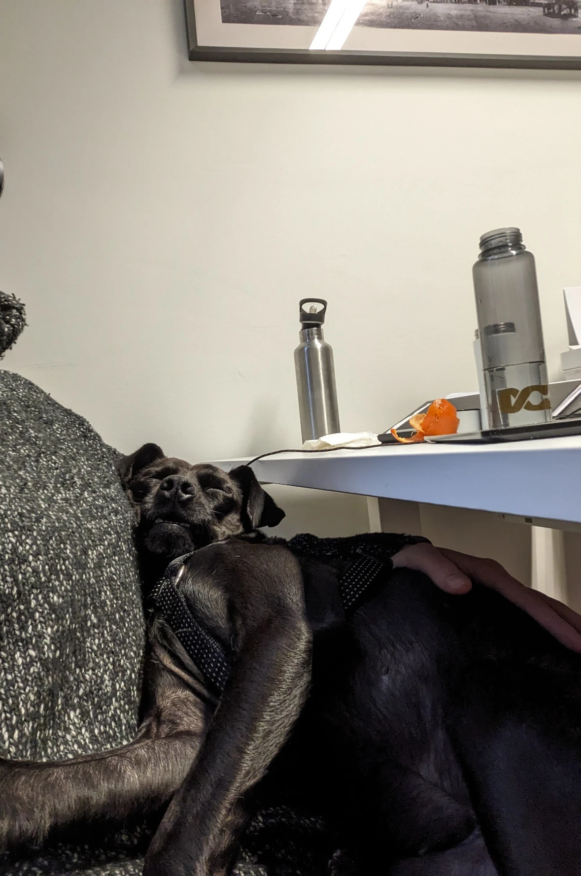 image-13