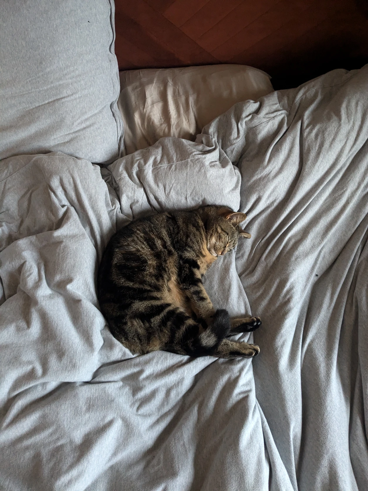 image-8