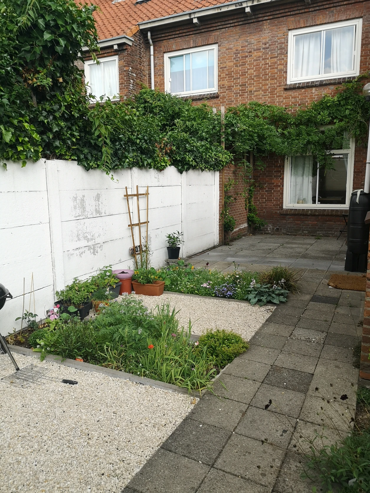 image-16