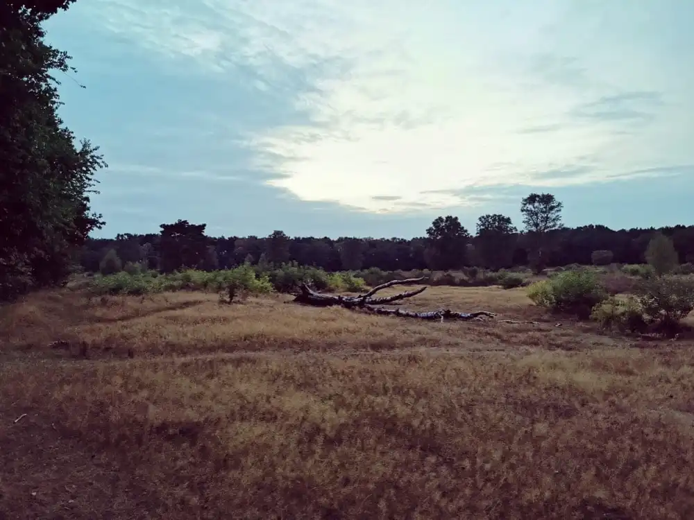 image-18