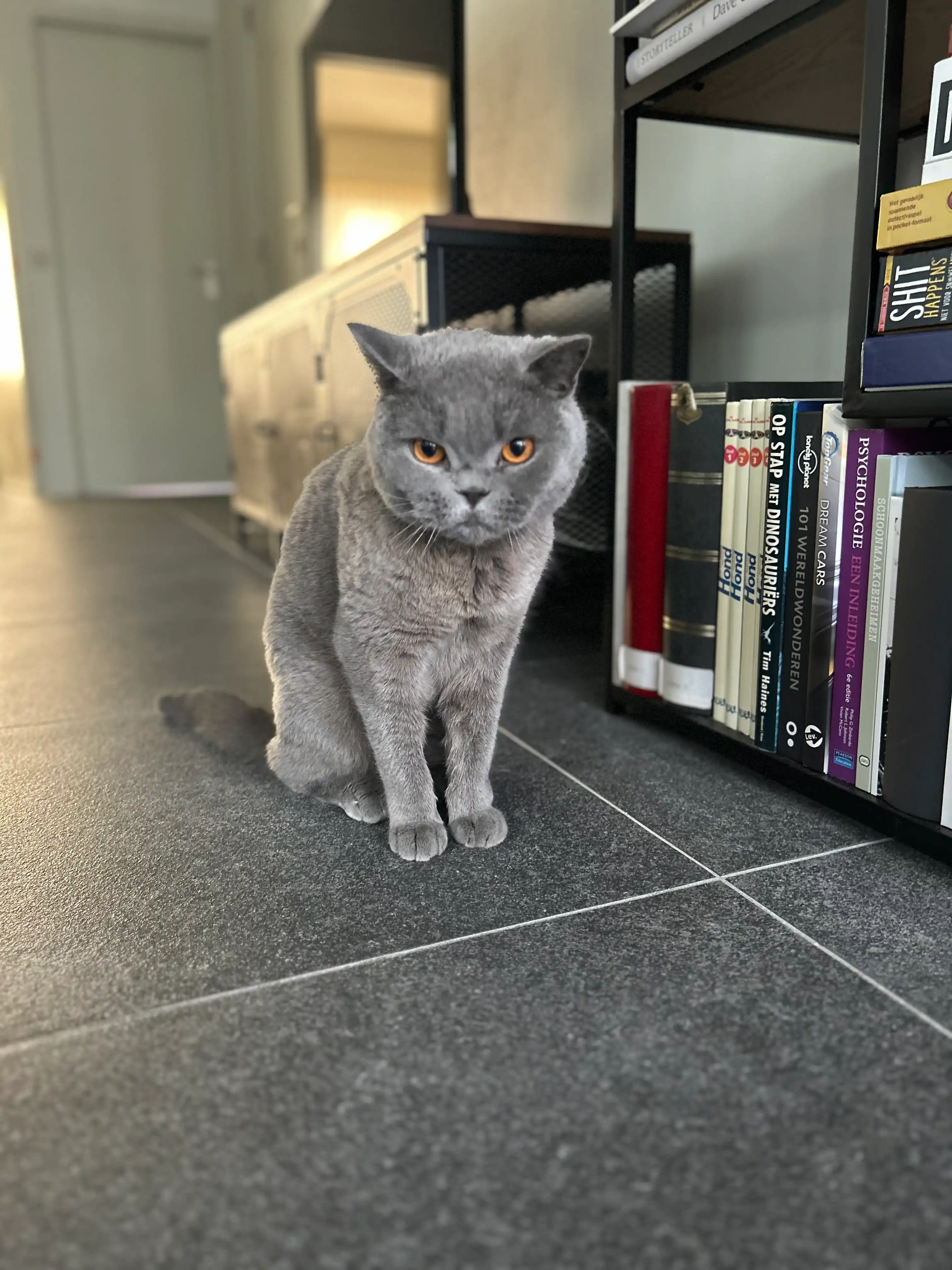 image-14
