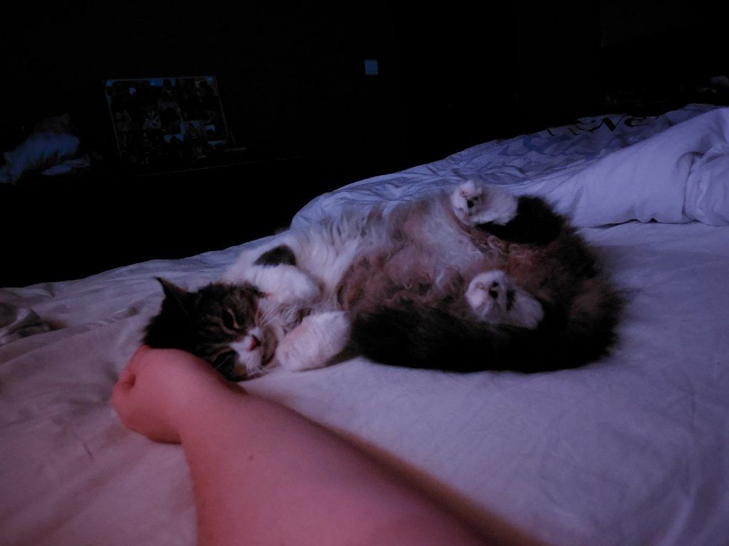 image-6