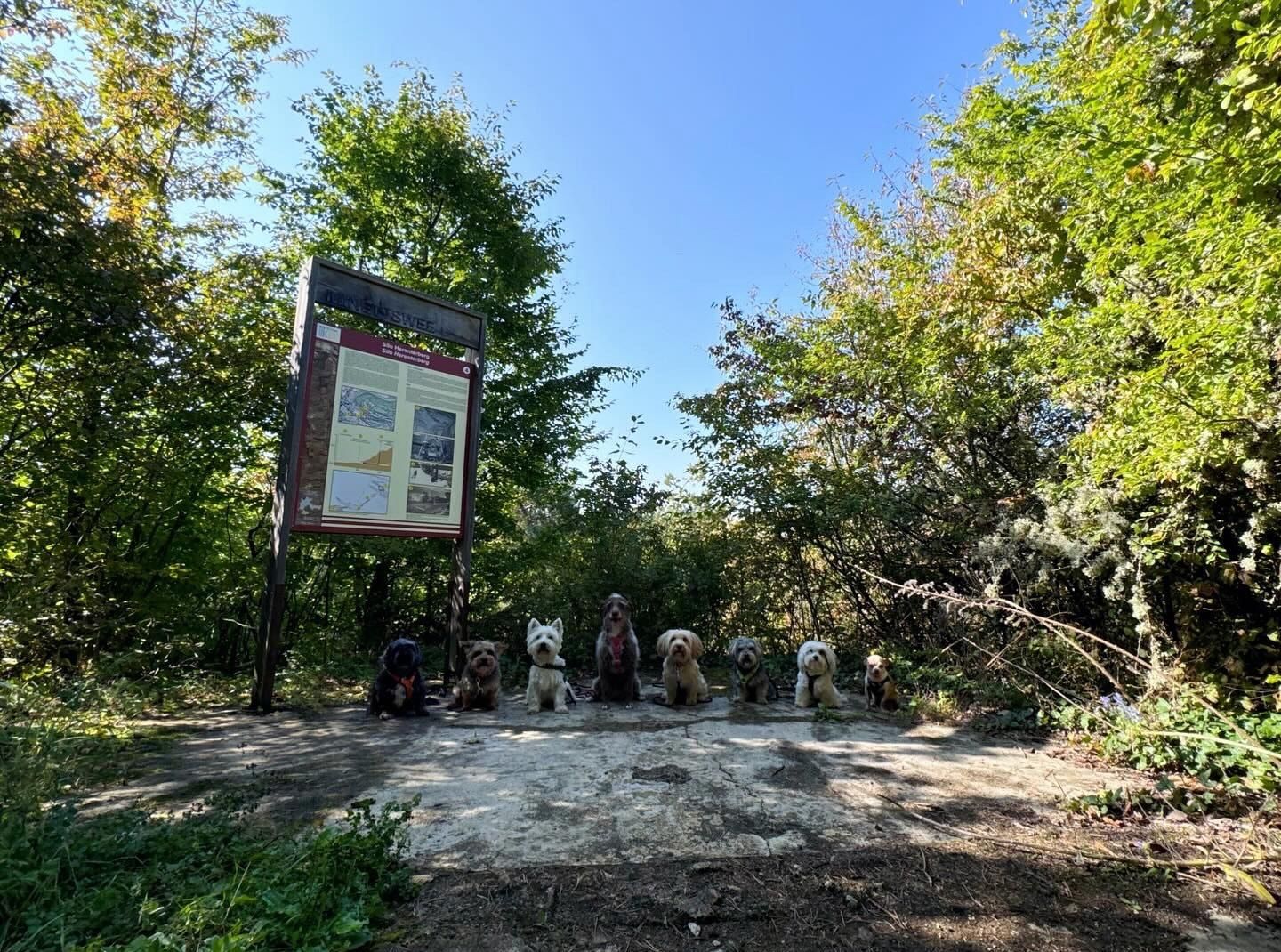 image-25