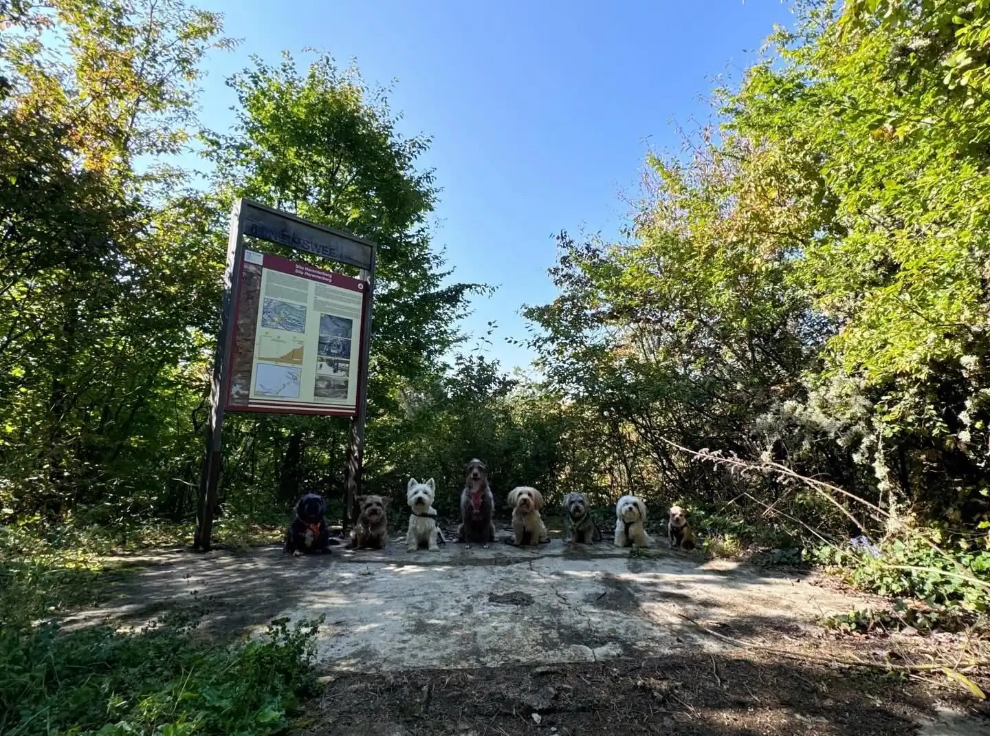 image-25