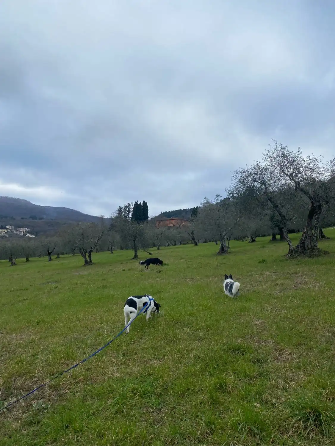 image-8