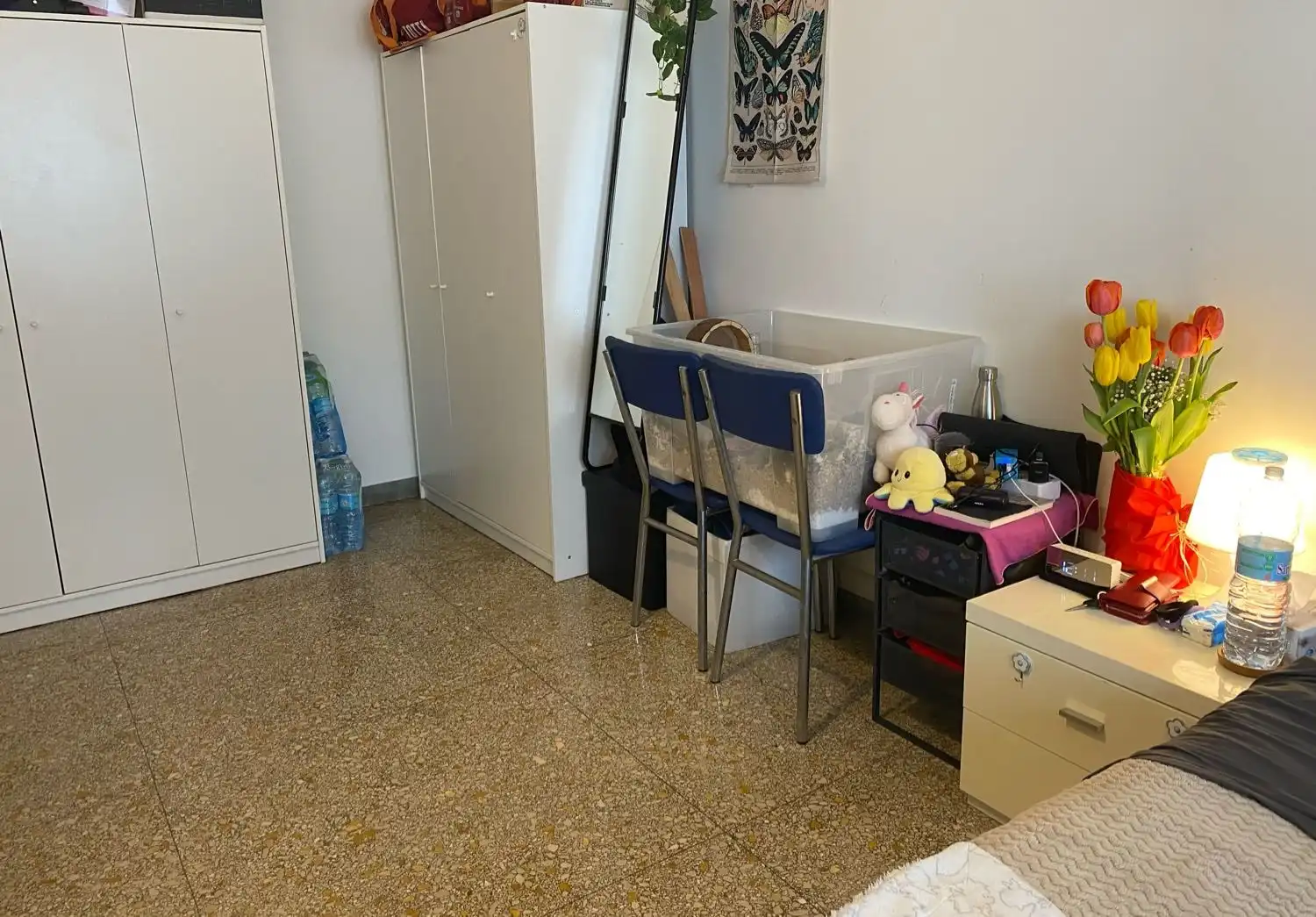 image-10
