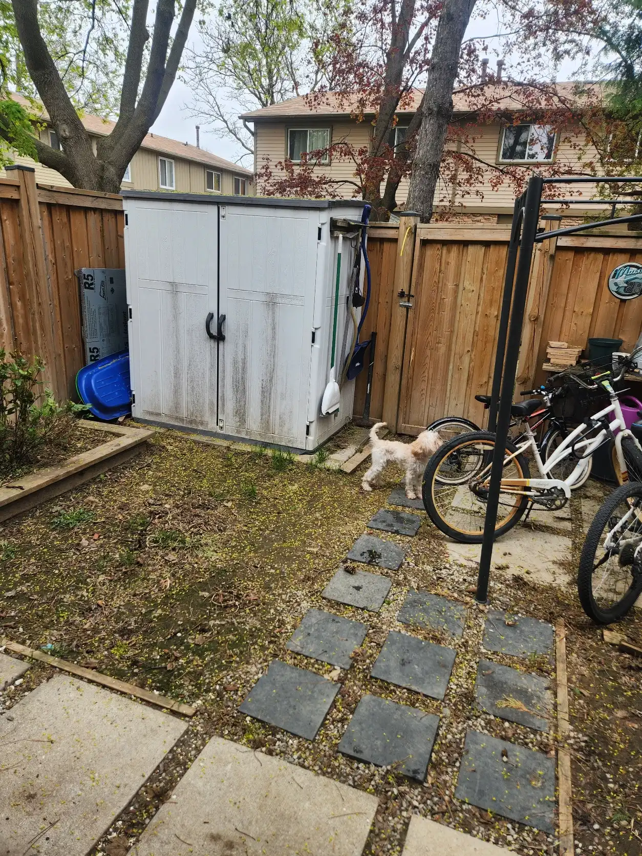 image-19