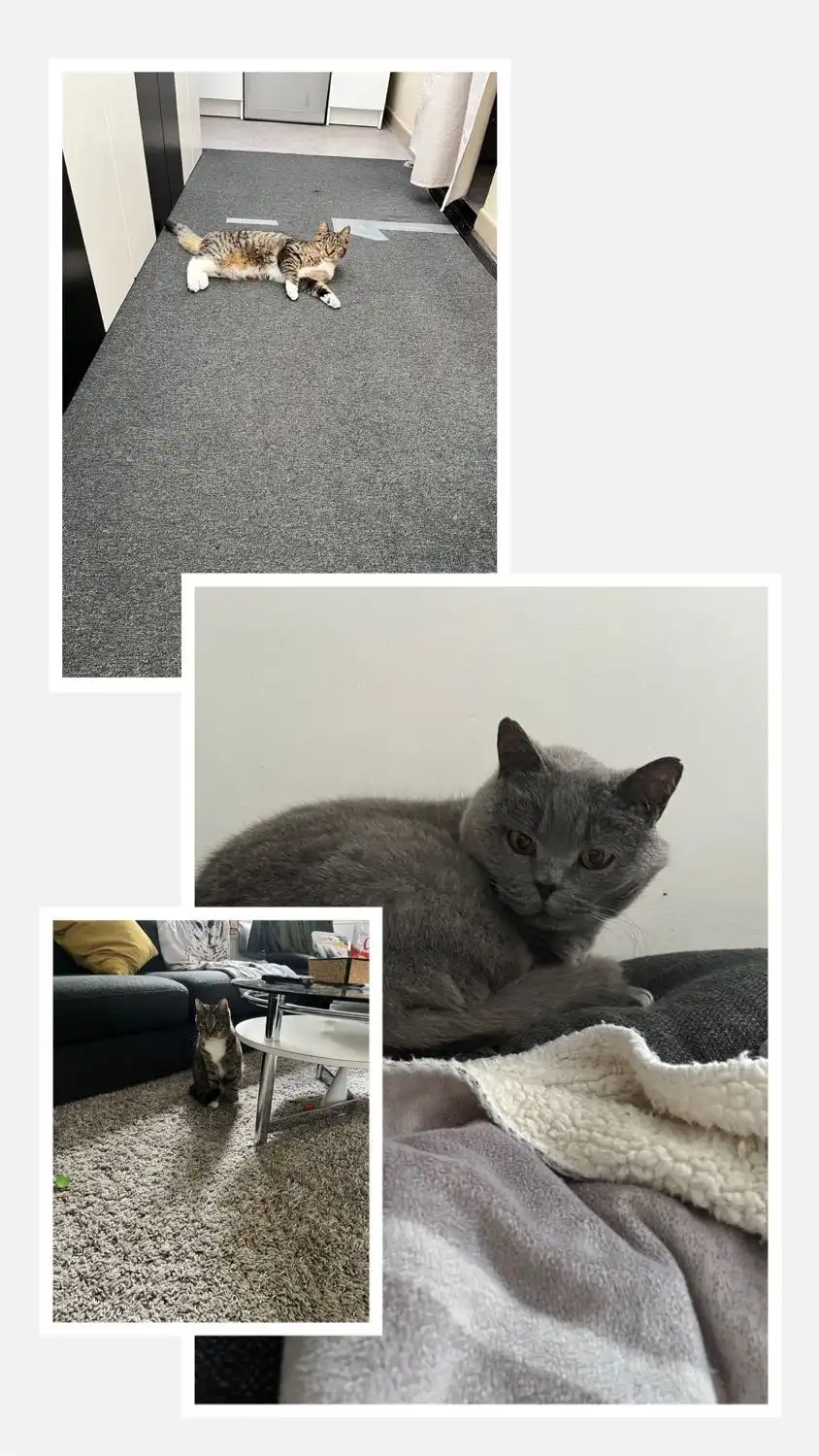 image-13