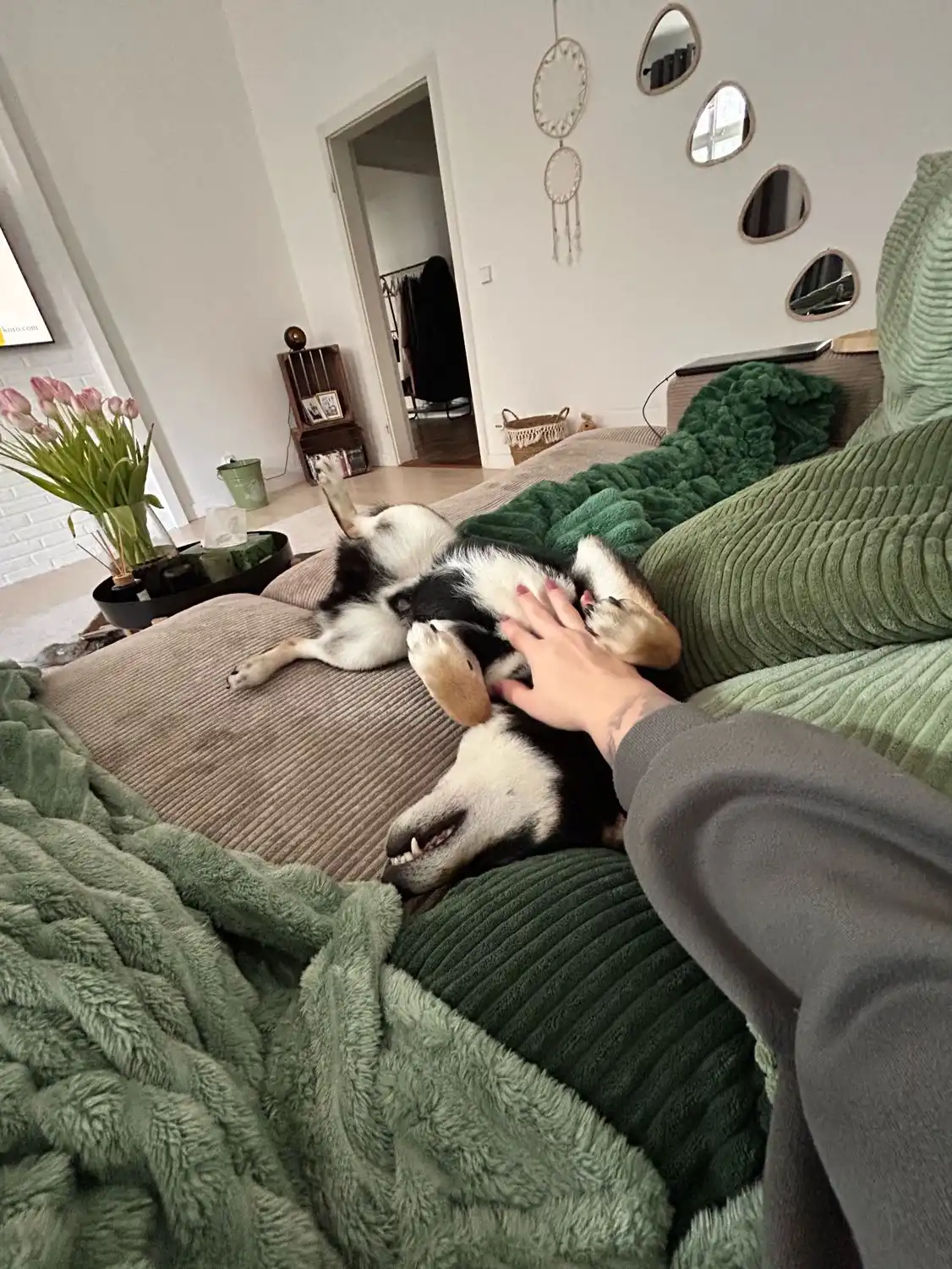 image-10