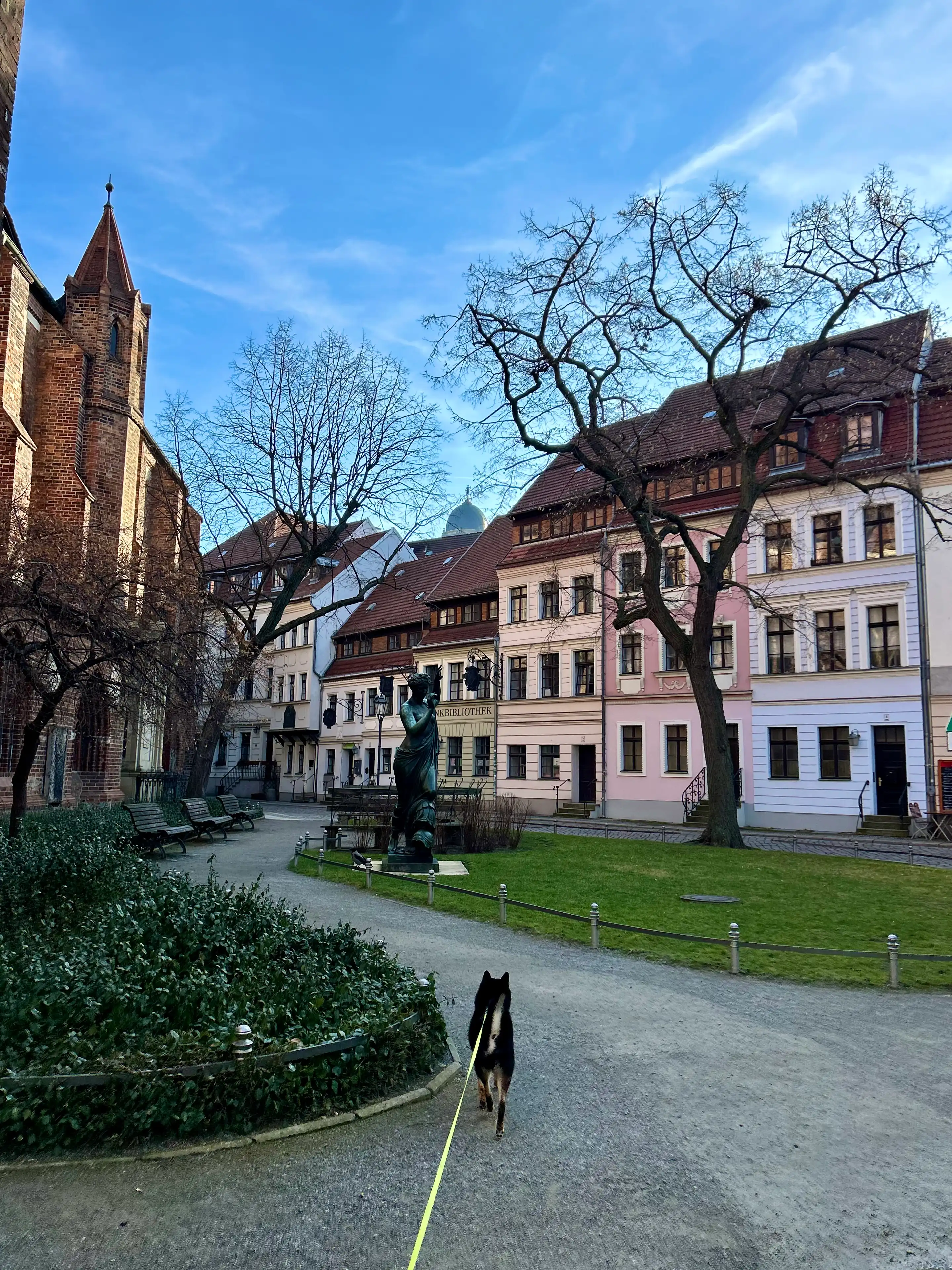 image-17