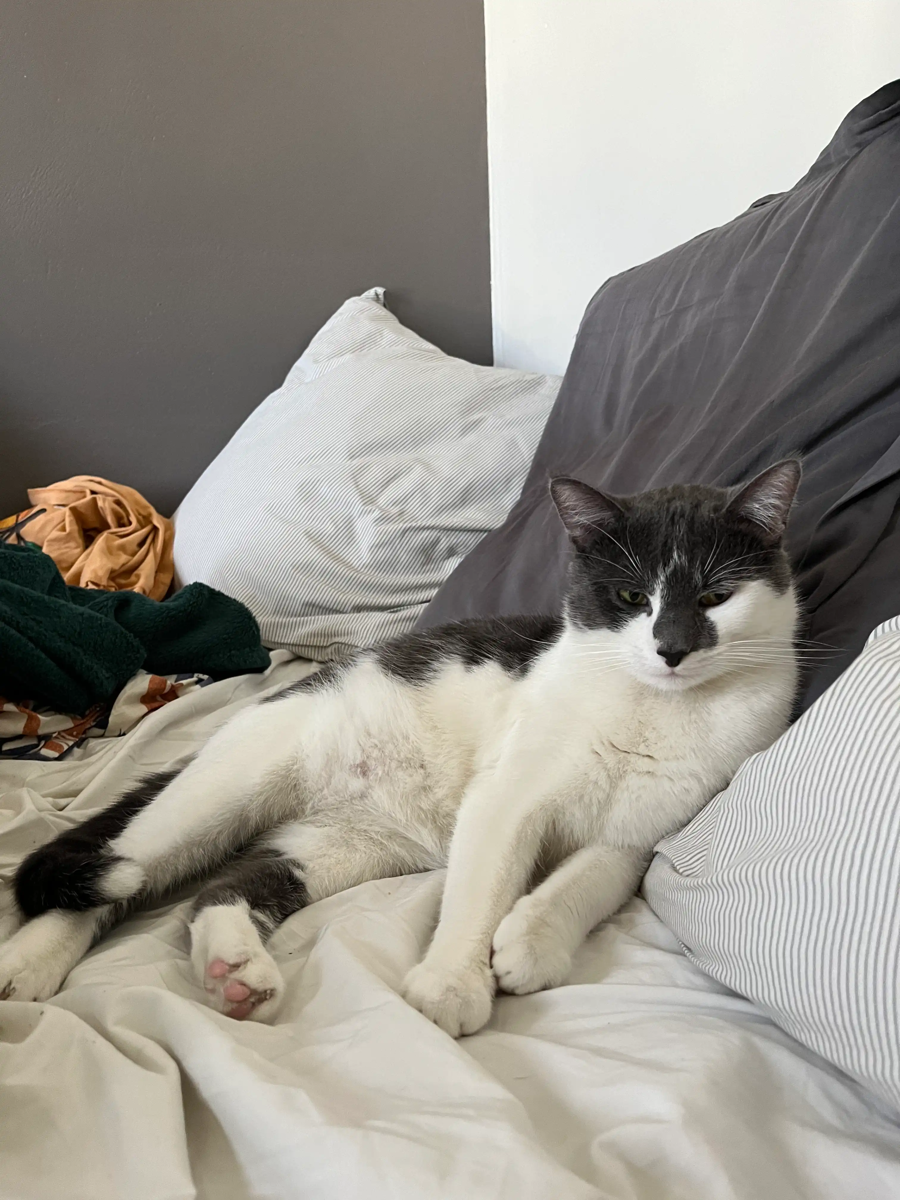 image-12